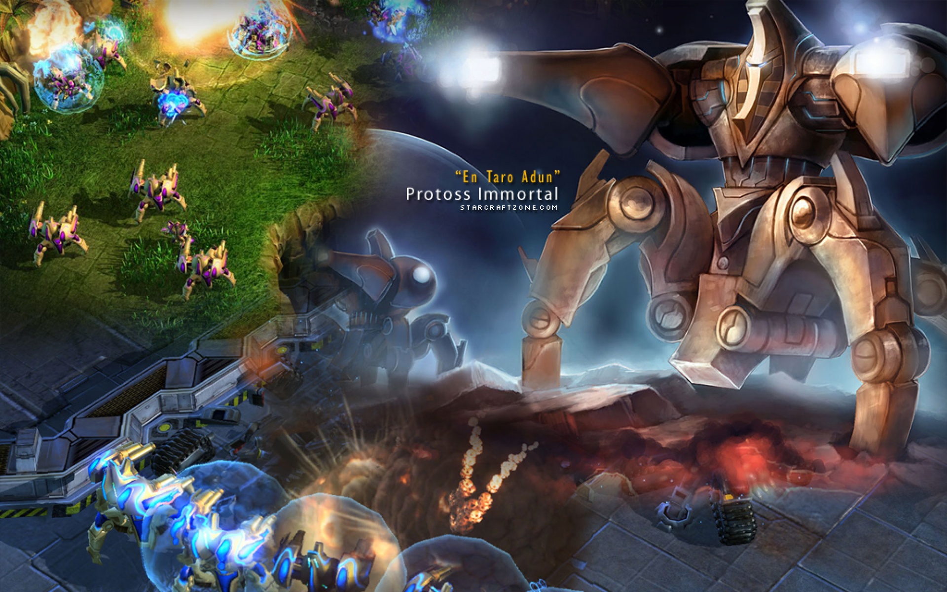 星际,争霸,游戏,2012Y十一月10D