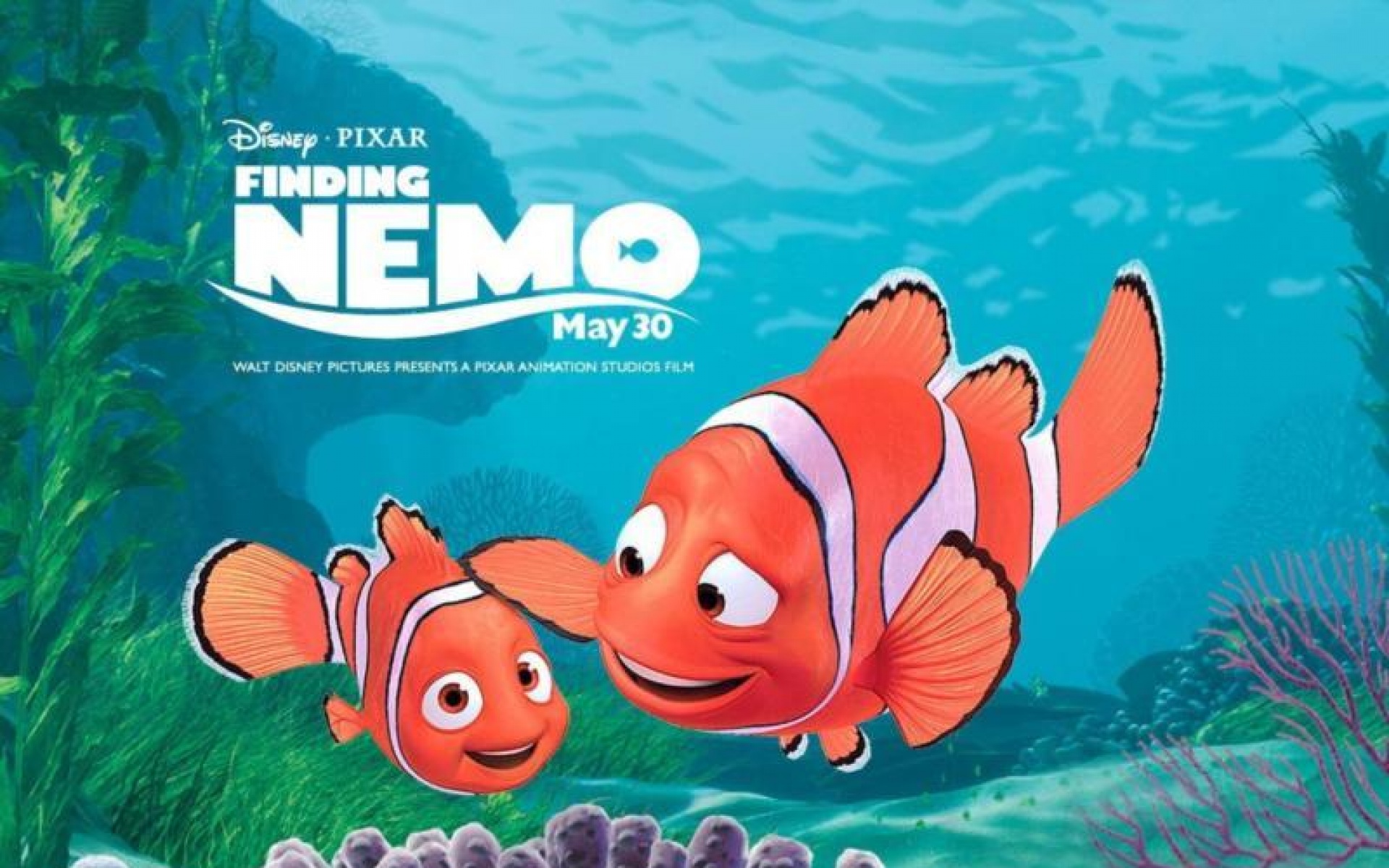 影视,精选,2012Y十一月11D