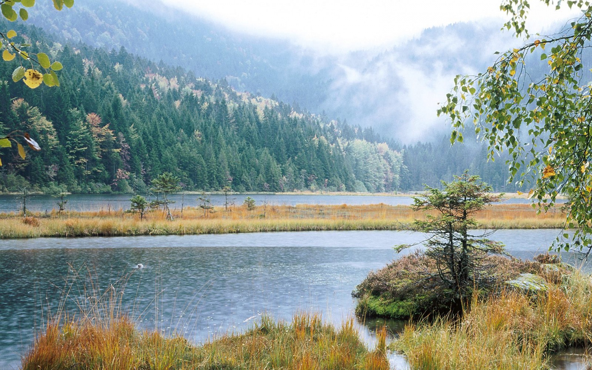 风景,自然风光,2012Y十一月10D,儿童桌面专用
