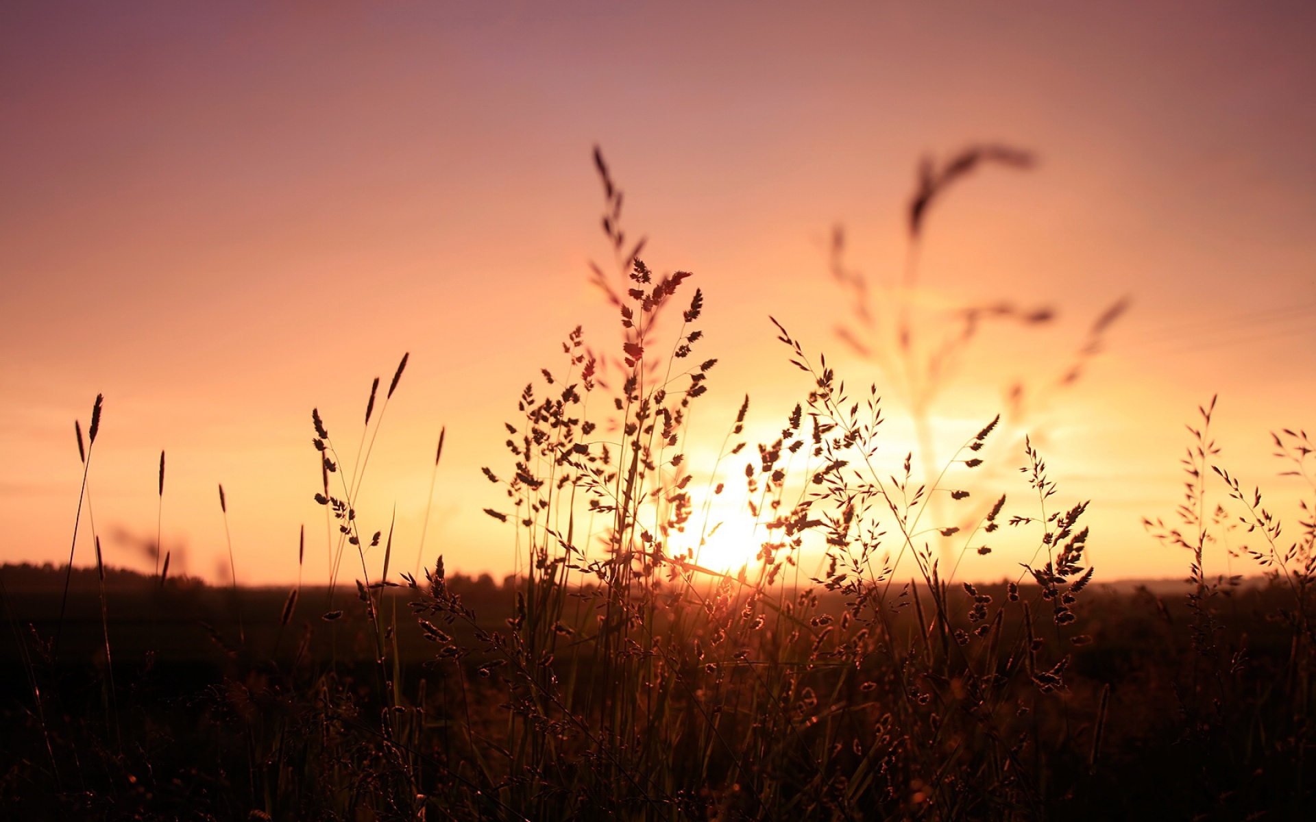 风景,落日余晖,2012Y十月31D,儿童桌面专用