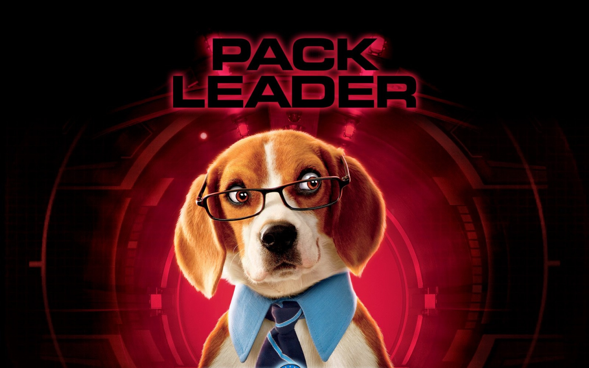 猫狗大战,影视,电影,2012Y十月30D,整蛊搞笑