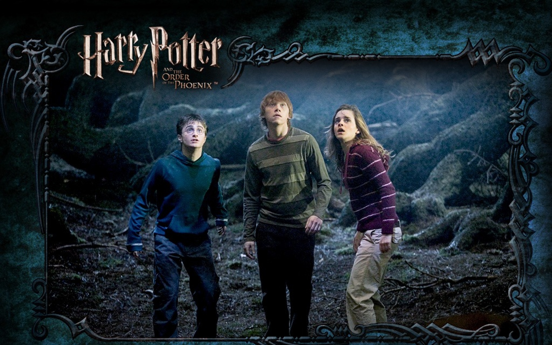 哈利,波特,凤凰社,影视,2012Y十一月12D