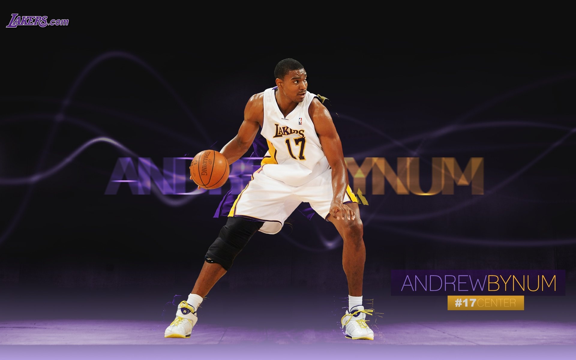 体育,篮球,洛杉矶,湖人队,宽屏,2012Y十月31D