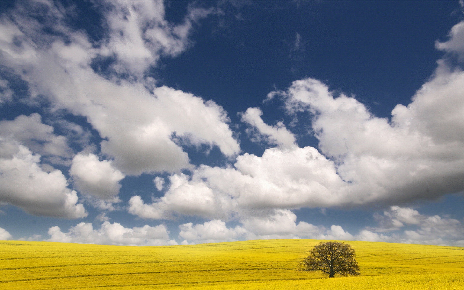 风景,蓝天白云,儿童桌面专用