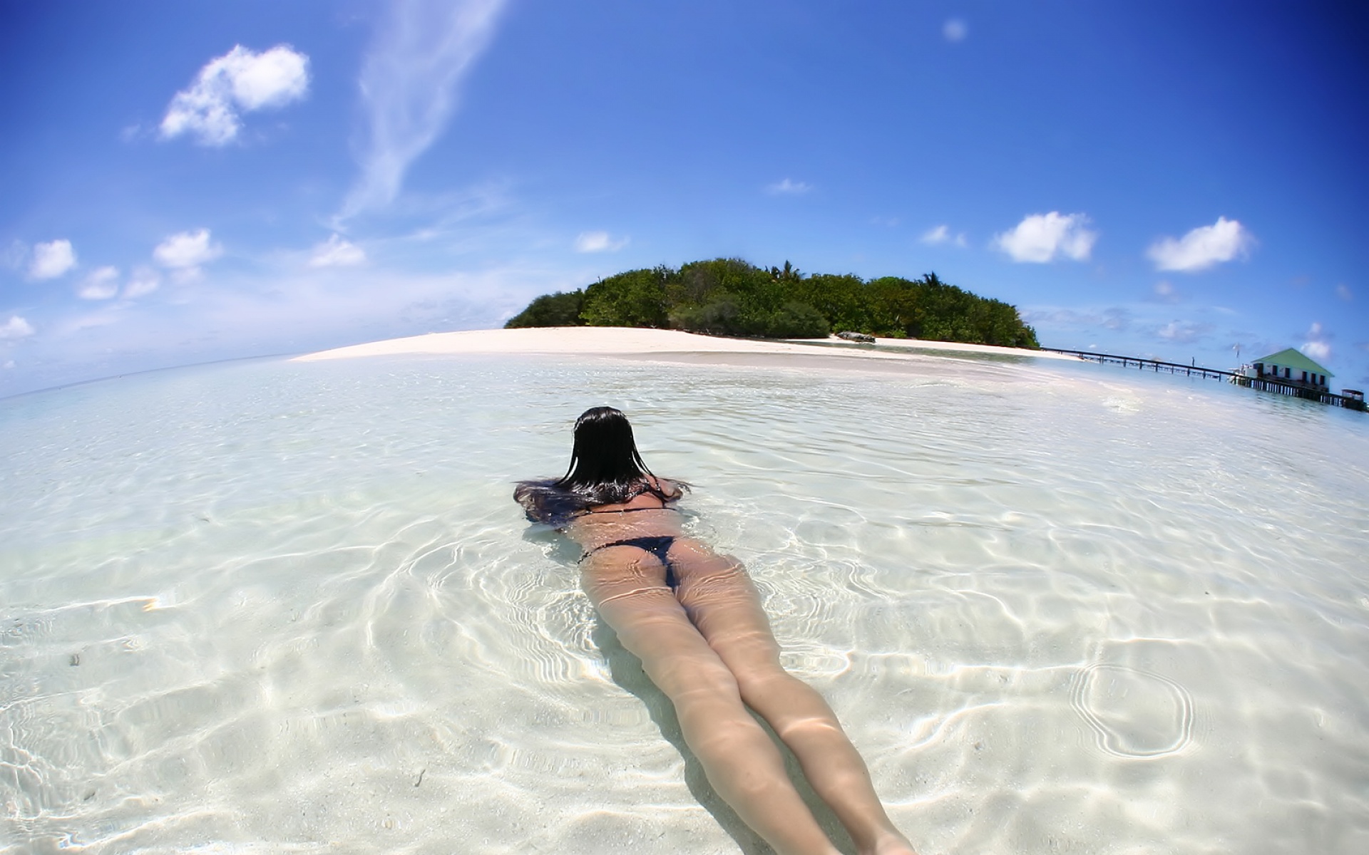 socksoff,设计,高清,经典,2012Y十一月03D,创意