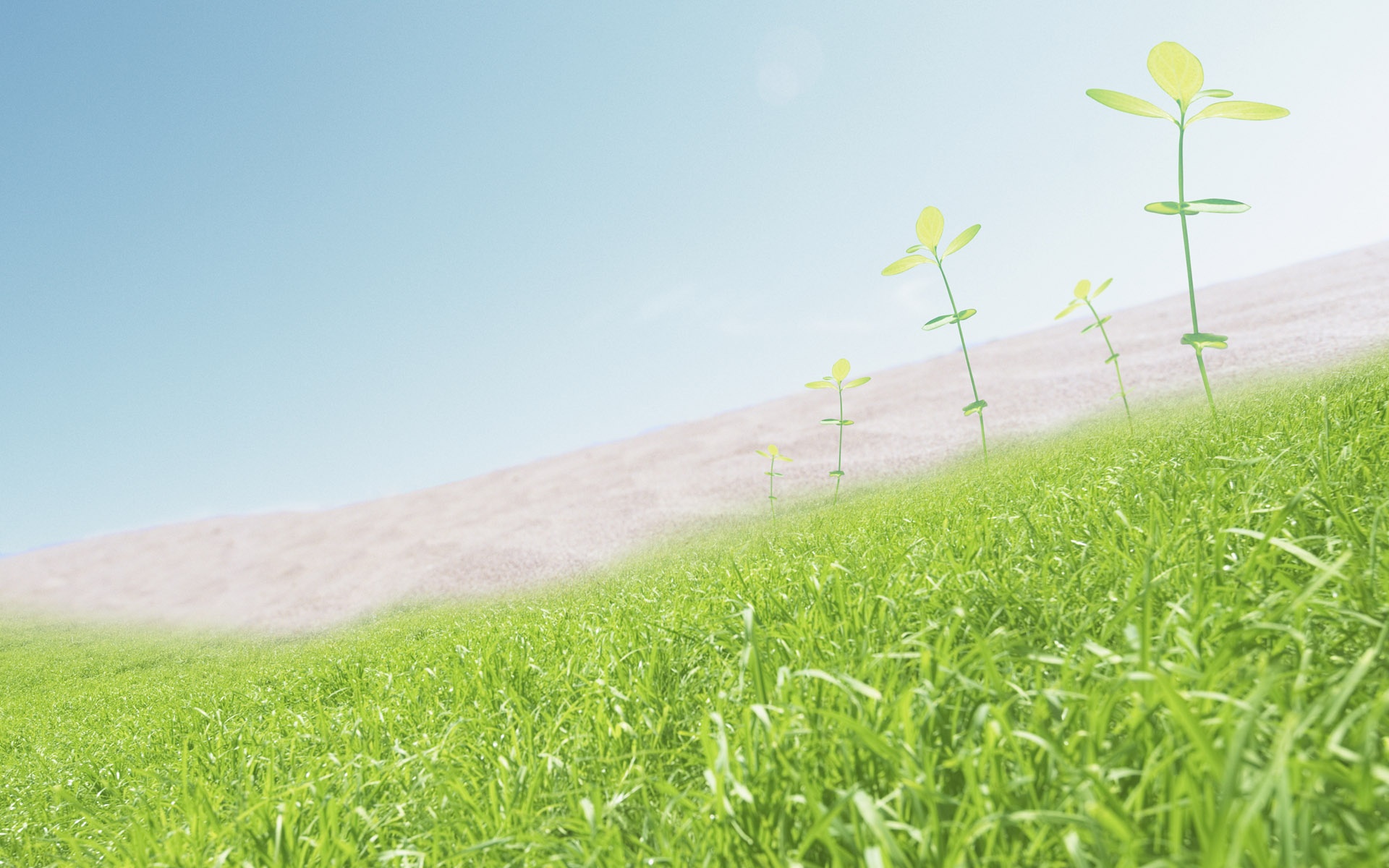 小清新,护眼壁纸,绿色,儿童桌面专用