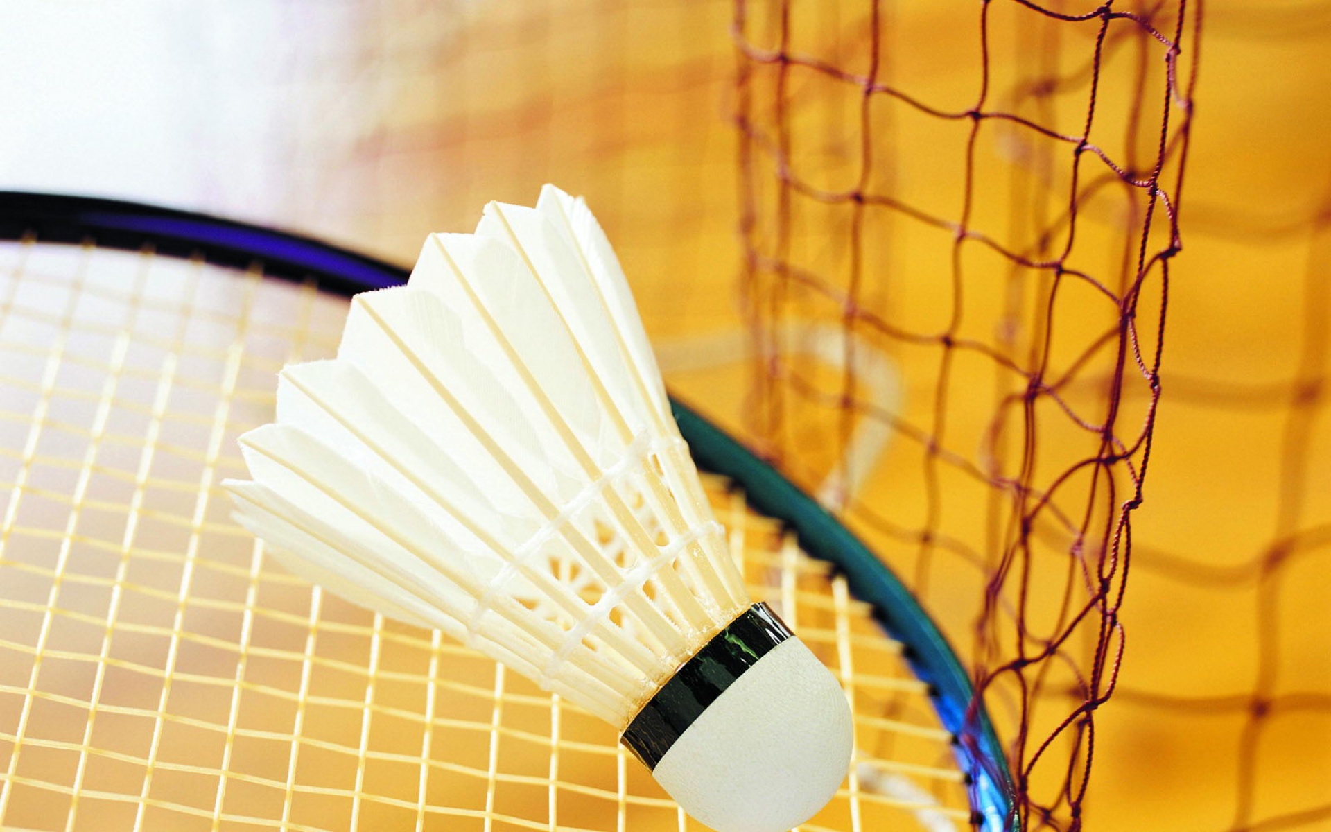 运动,2012Y十一月13D