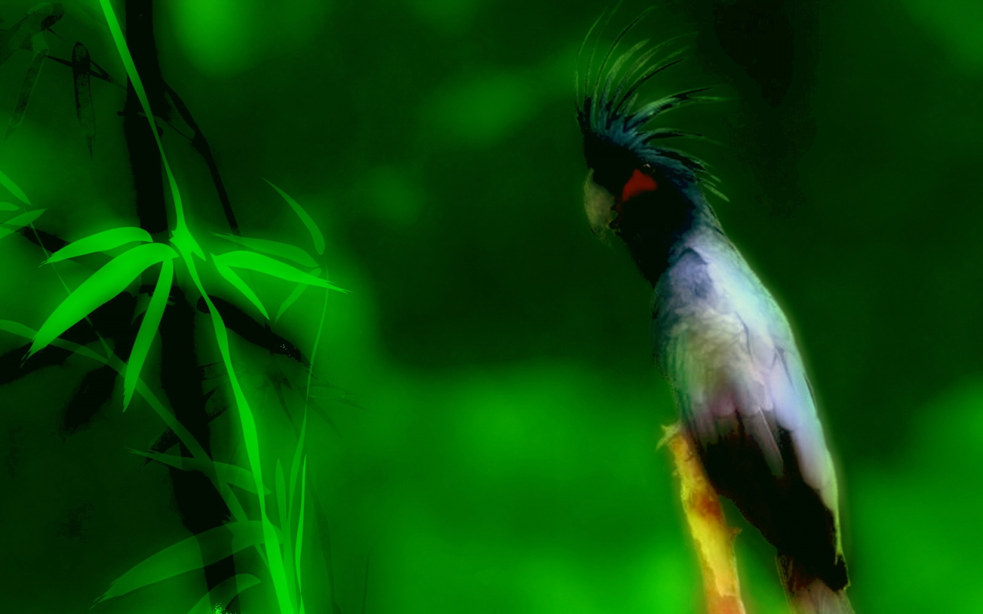 高清,动物,2012Y十一月05D,鸟,儿童桌面专用