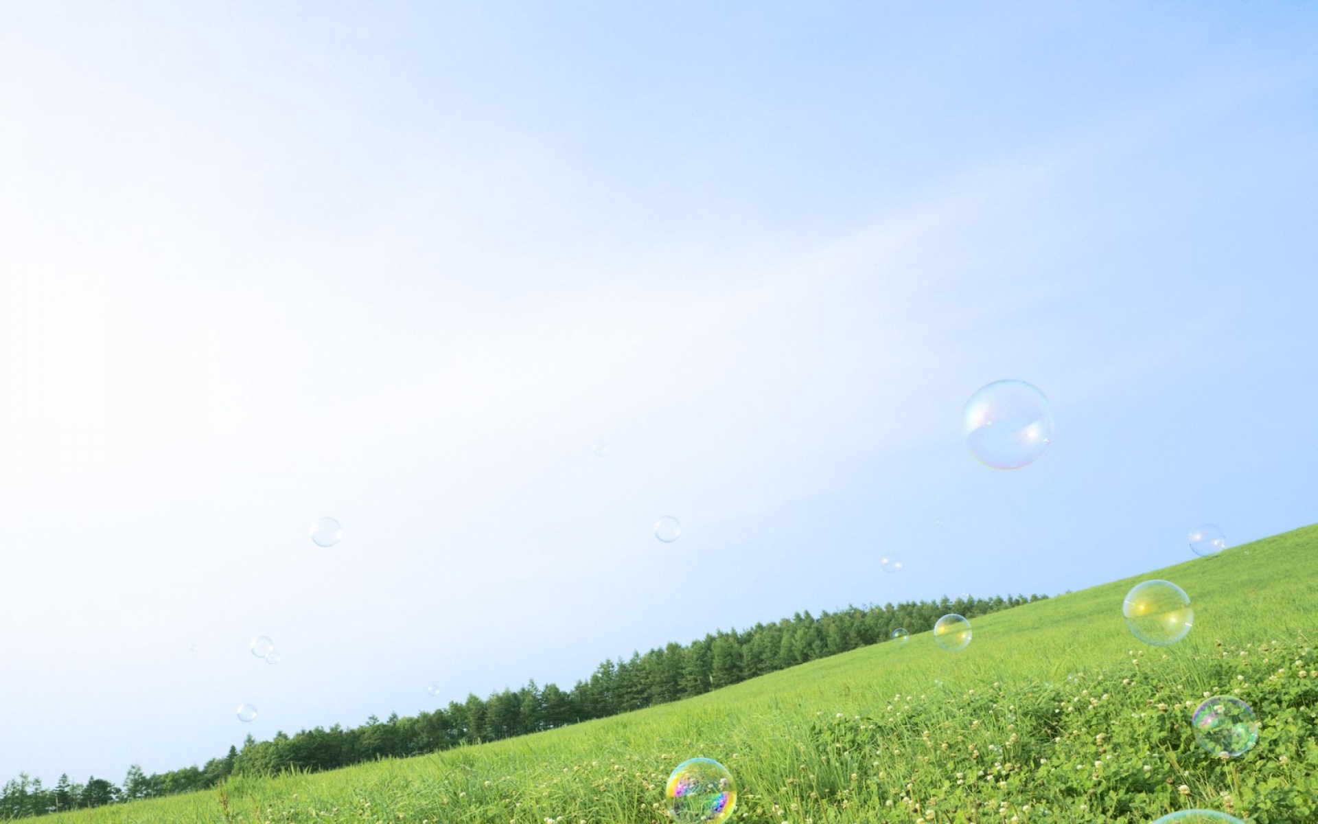 风景,春意盎然,儿童桌面专用