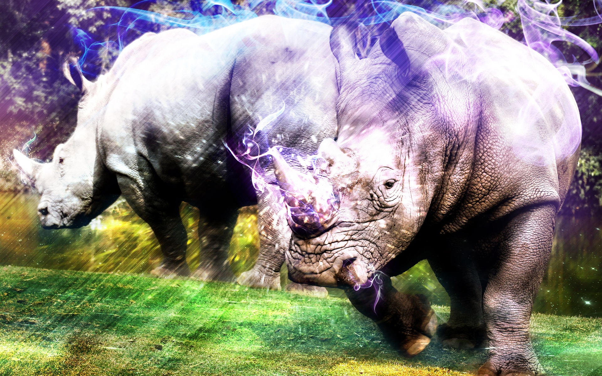 萌宠动物,野生动物,犀牛,儿童桌面专用