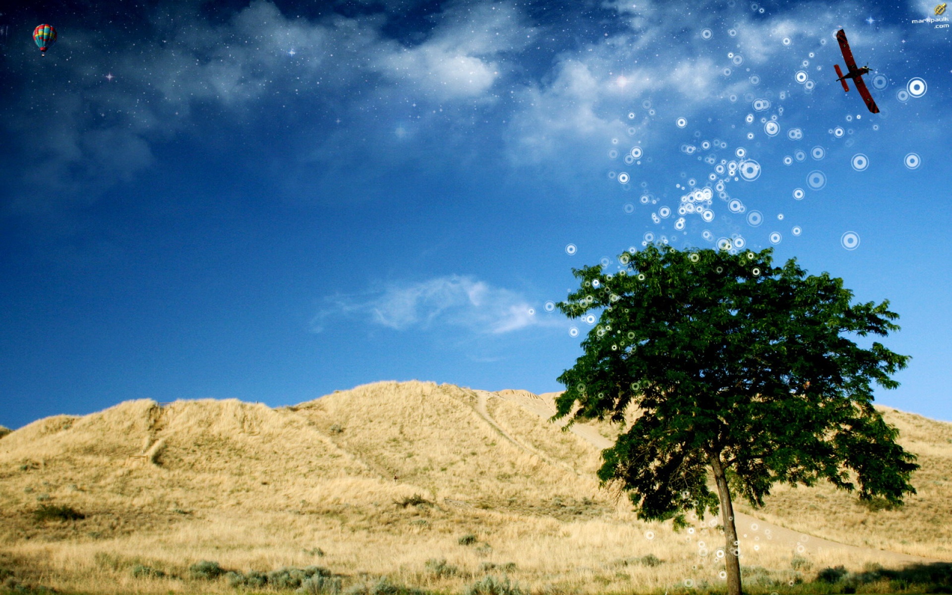 经典,精美,设计,高清,2012Y十一月04D,儿童桌面专用