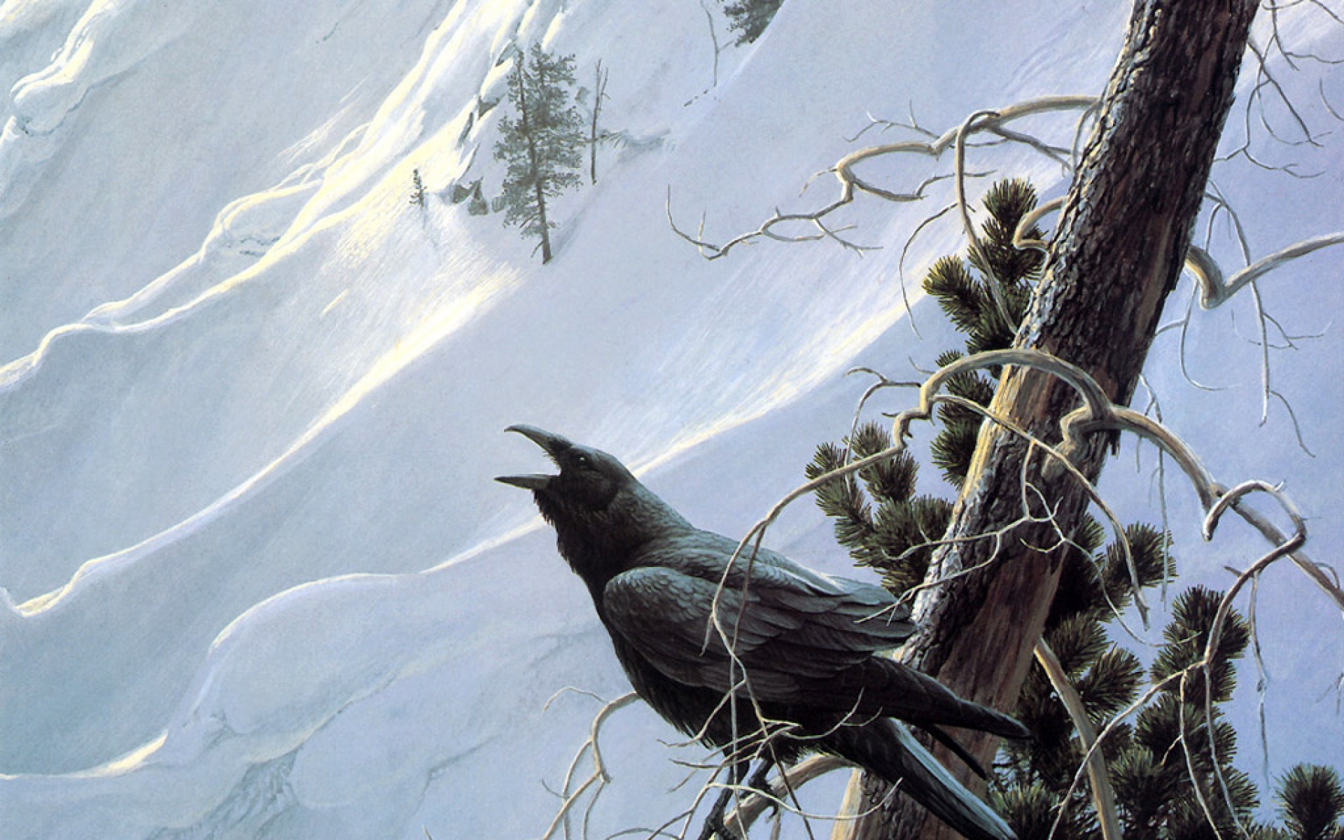 动物,绘画,风格,2012Y十一月04D,儿童桌面专用