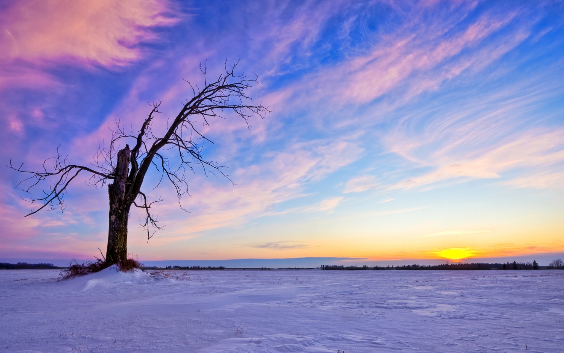 风景,冰天雪地,2012Y十月31D,儿童桌面专用