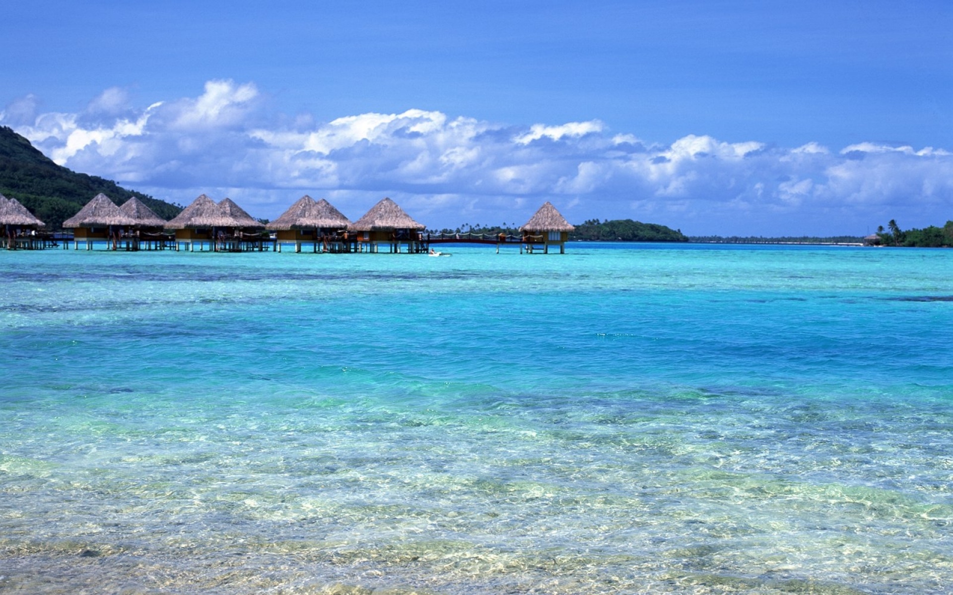 风景,海洋天堂,2012Y十月31D,儿童桌面专用