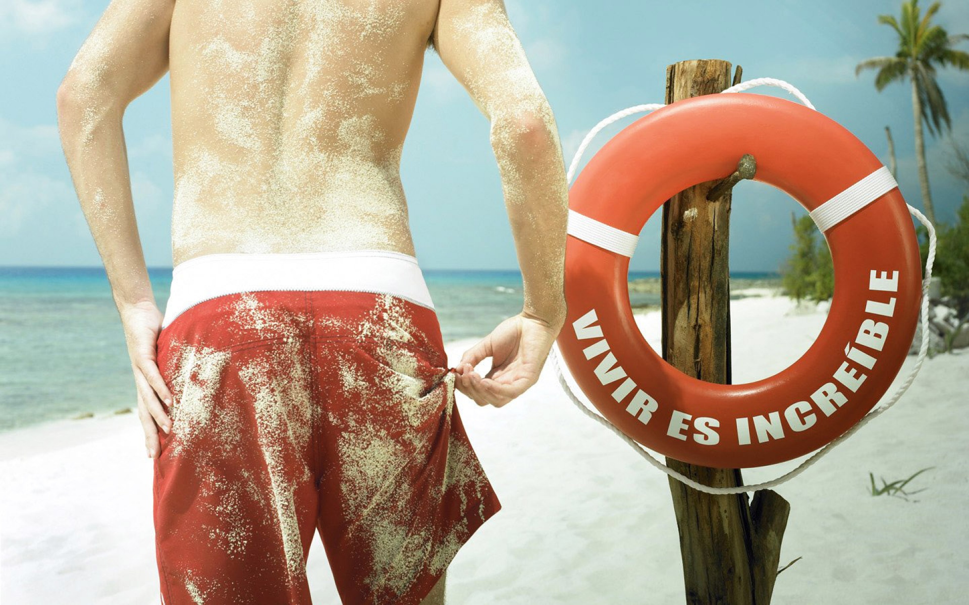 Premium,创意,宽屏,2012Y十一月04D