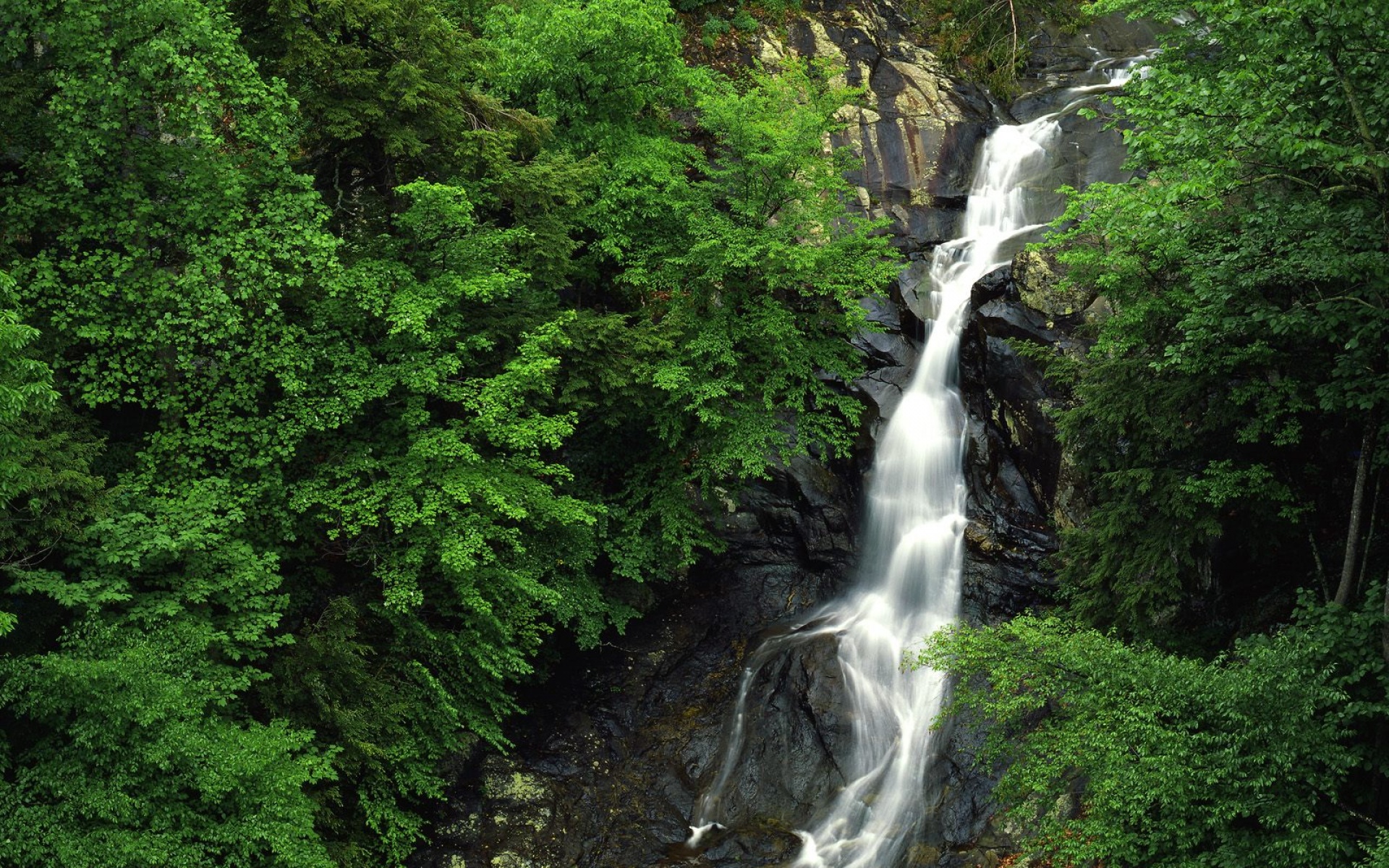 风景,自然风光,2012Y十一月11D,儿童桌面专用
