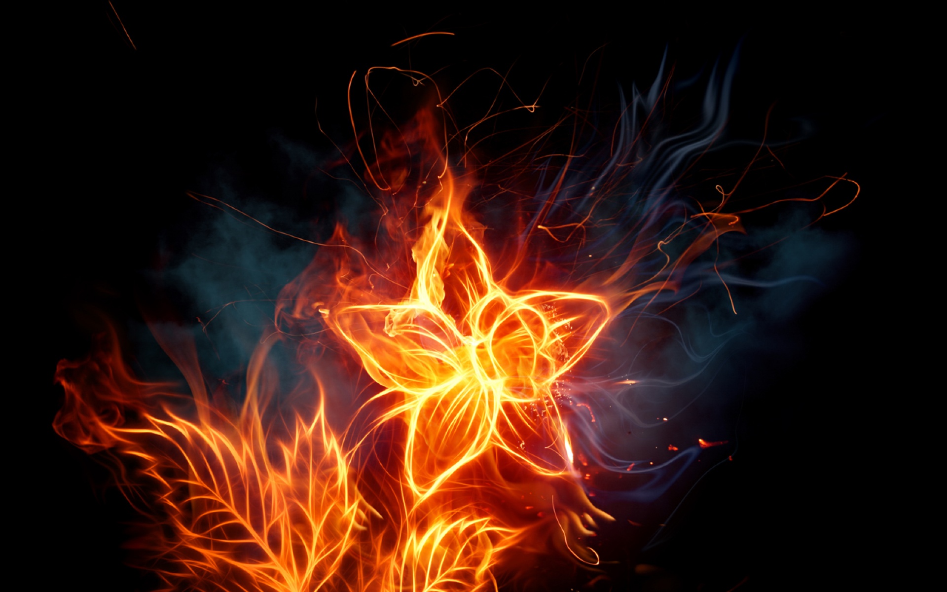 焰火,主题,设计,2012Y十一月05D,儿童桌面专用