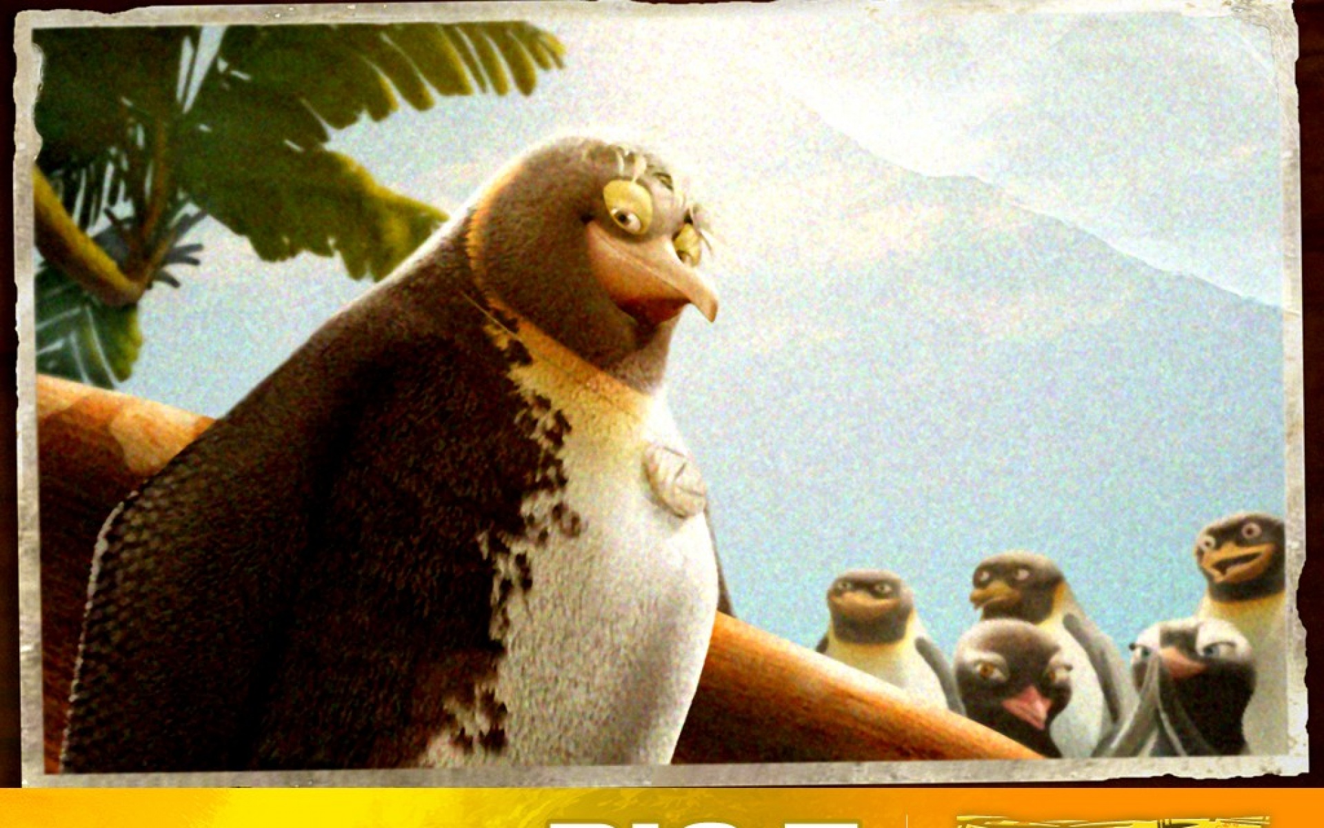 冲浪,企鹅,影视,2012Y十一月15D