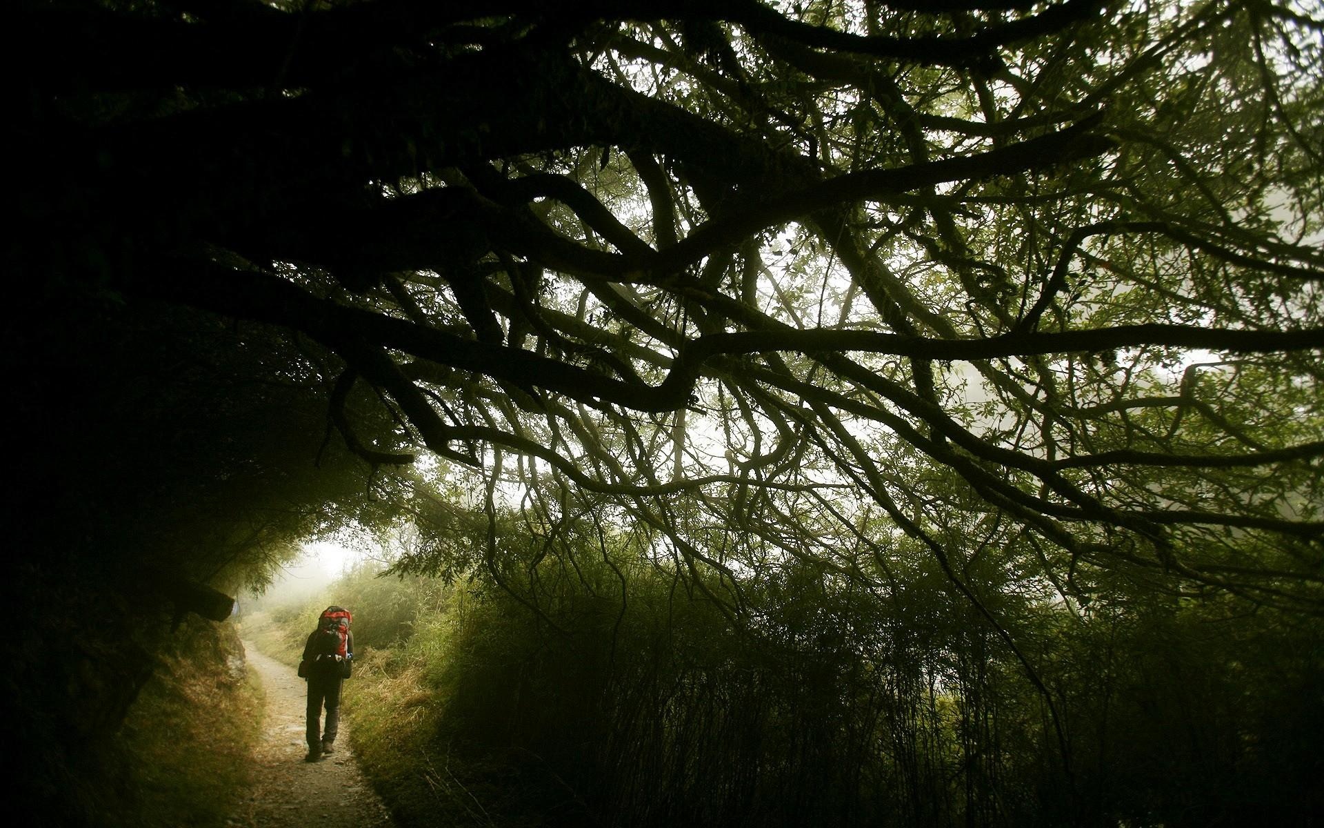 微软,官方,虎年,Windows,7,宽屏,2012Y十一月02D,创意,儿童桌面专用