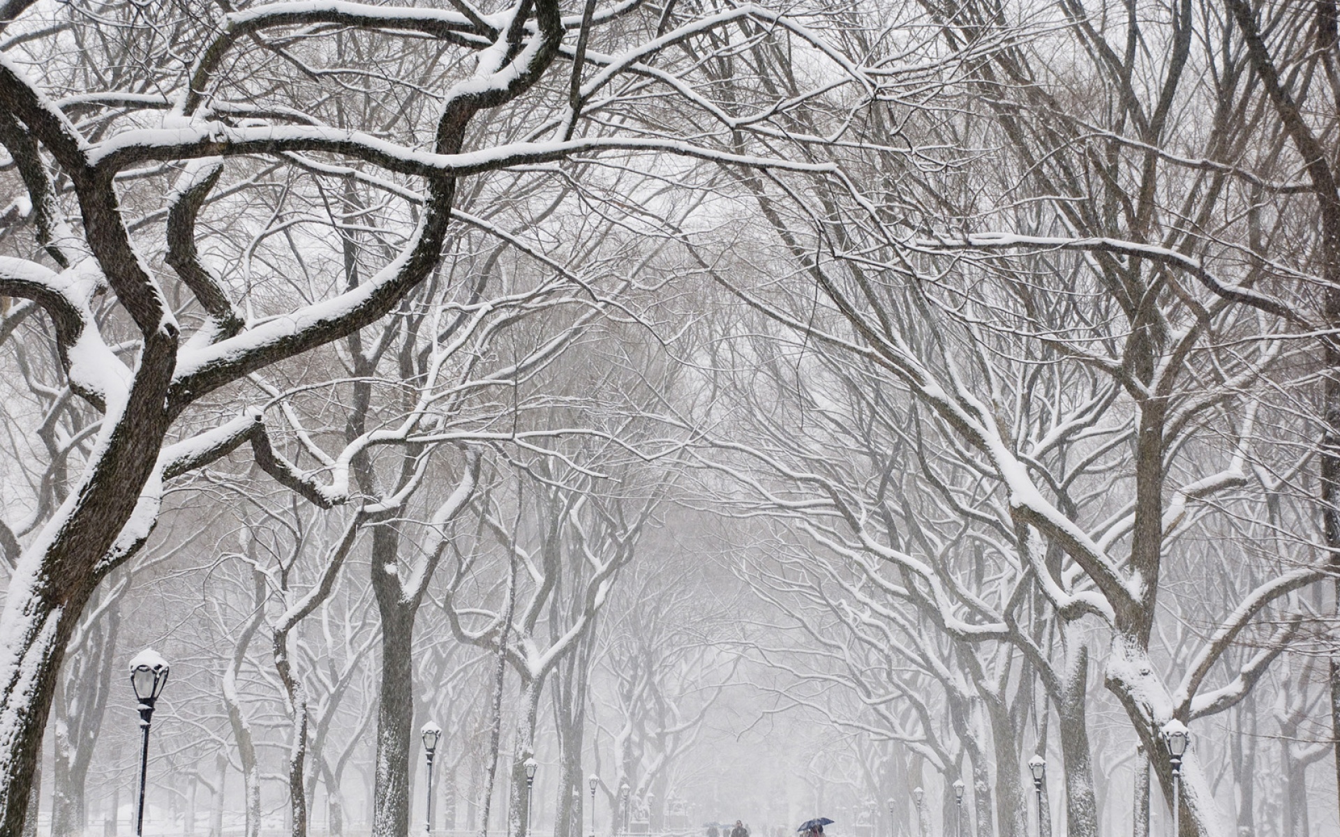 风景,冰天雪地,2012Y十月30D,儿童桌面专用