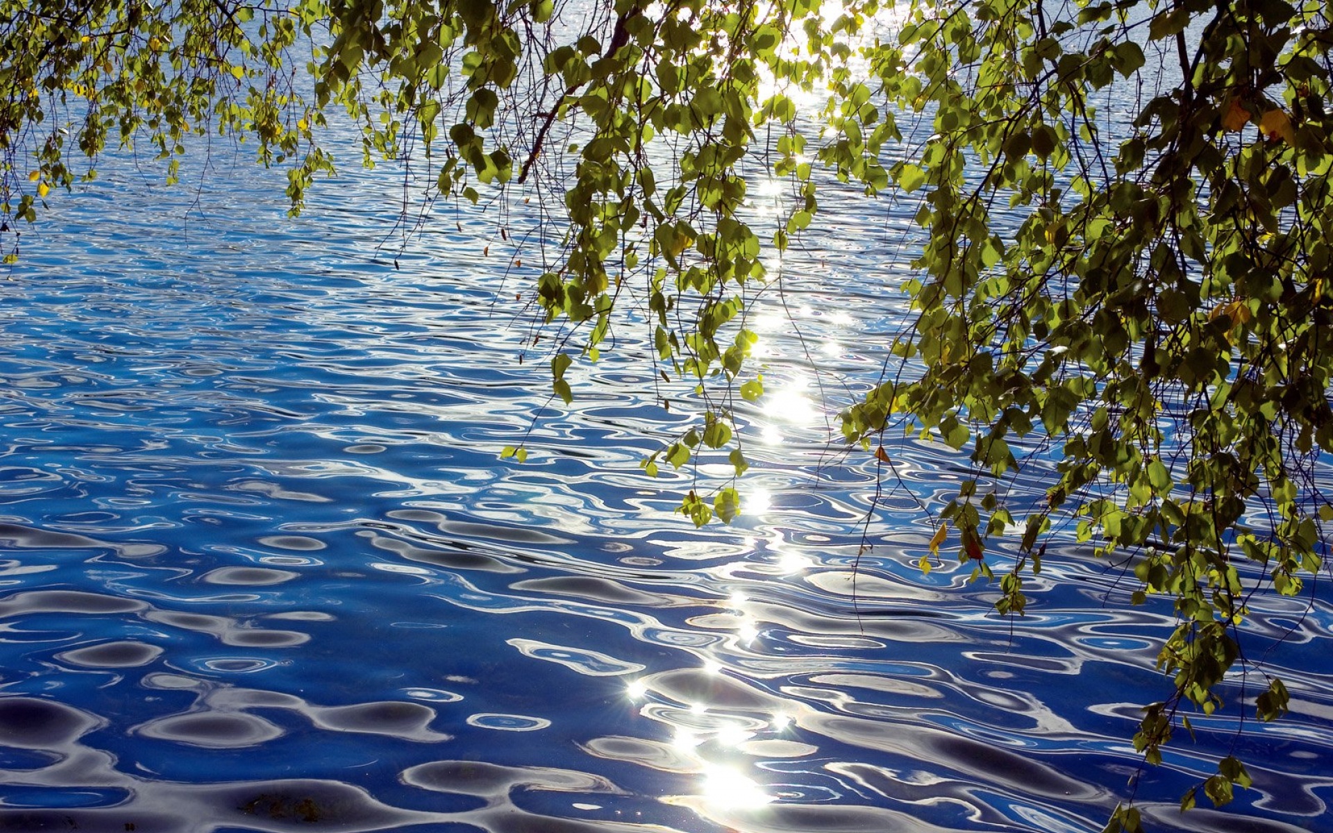 风景,自然风光,2012Y十一月05D,儿童桌面专用