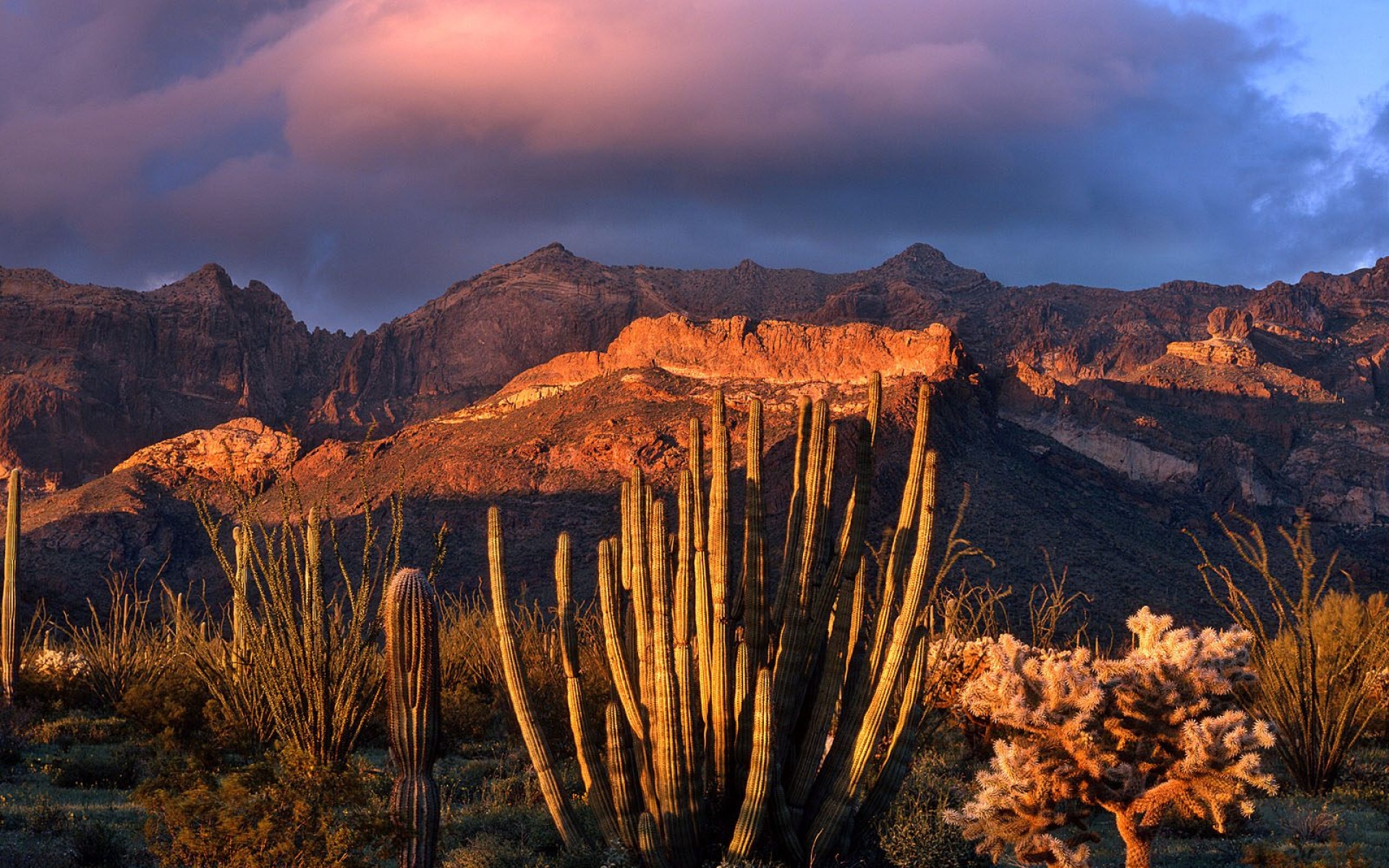 风景,落日余晖,2012Y十一月11D,儿童桌面专用