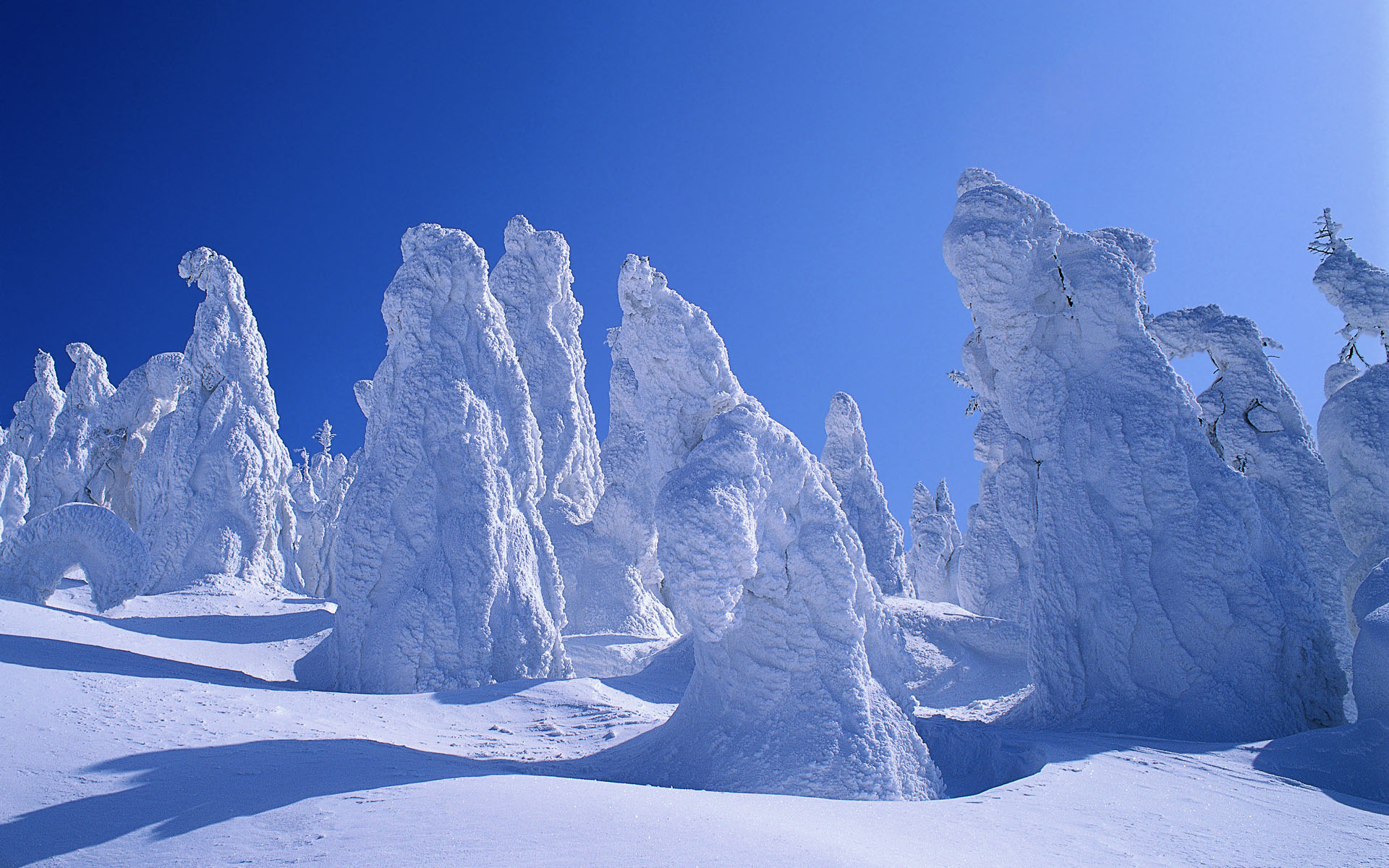 风景,银装素裹,冰天雪地,儿童桌面专用