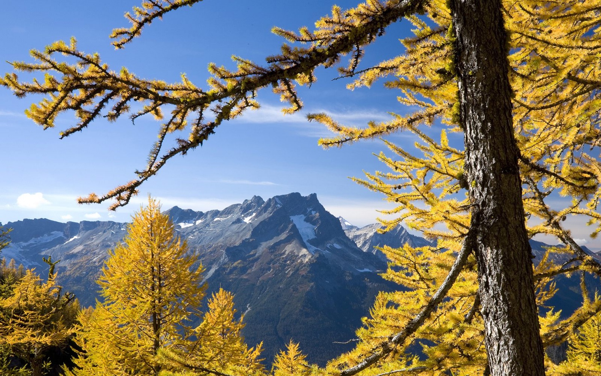 风景,秋意正浓,2012Y十一月11D,儿童桌面专用