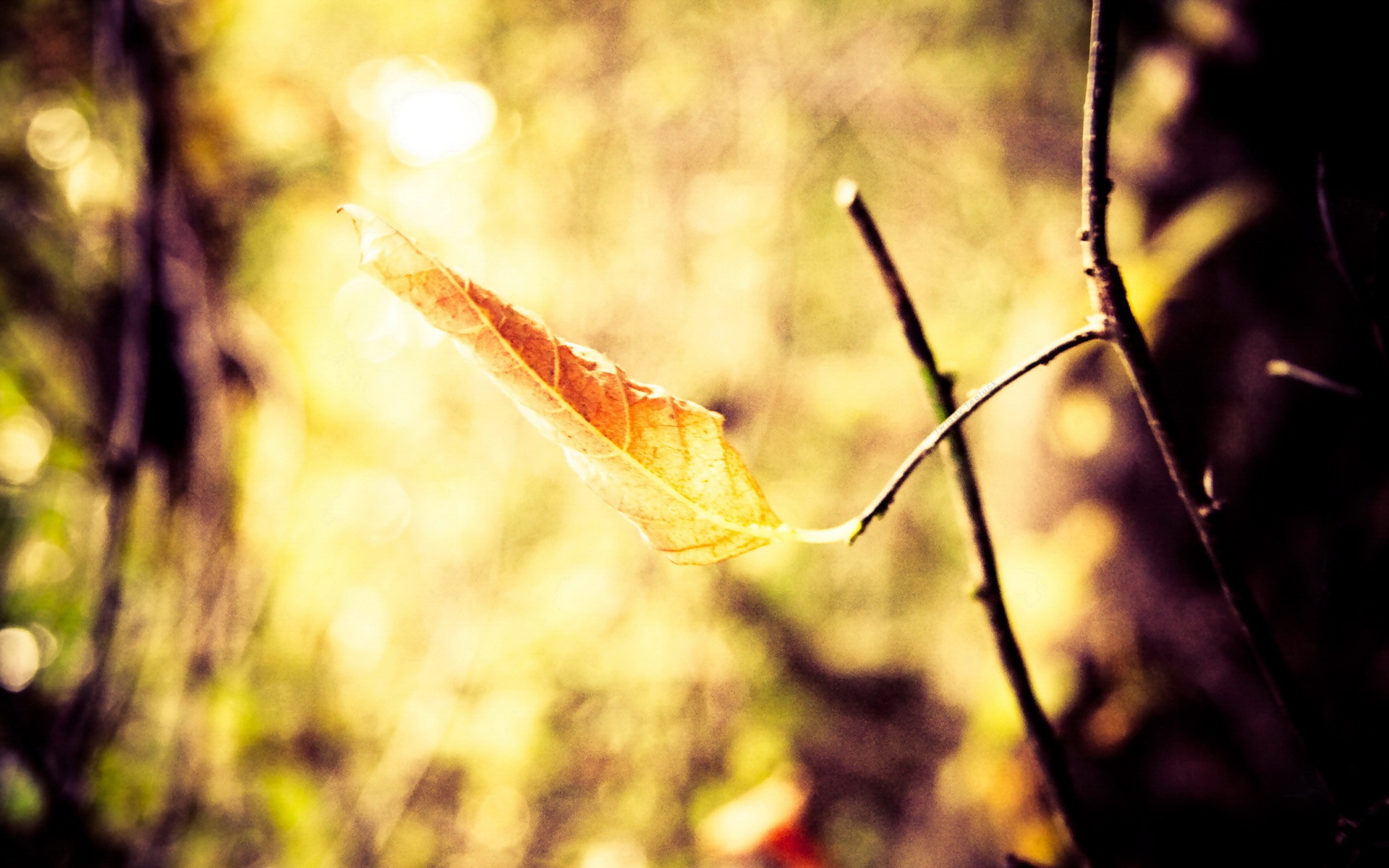 冷色,摄影,宽屏,电脑,设计,2012Y十月30D