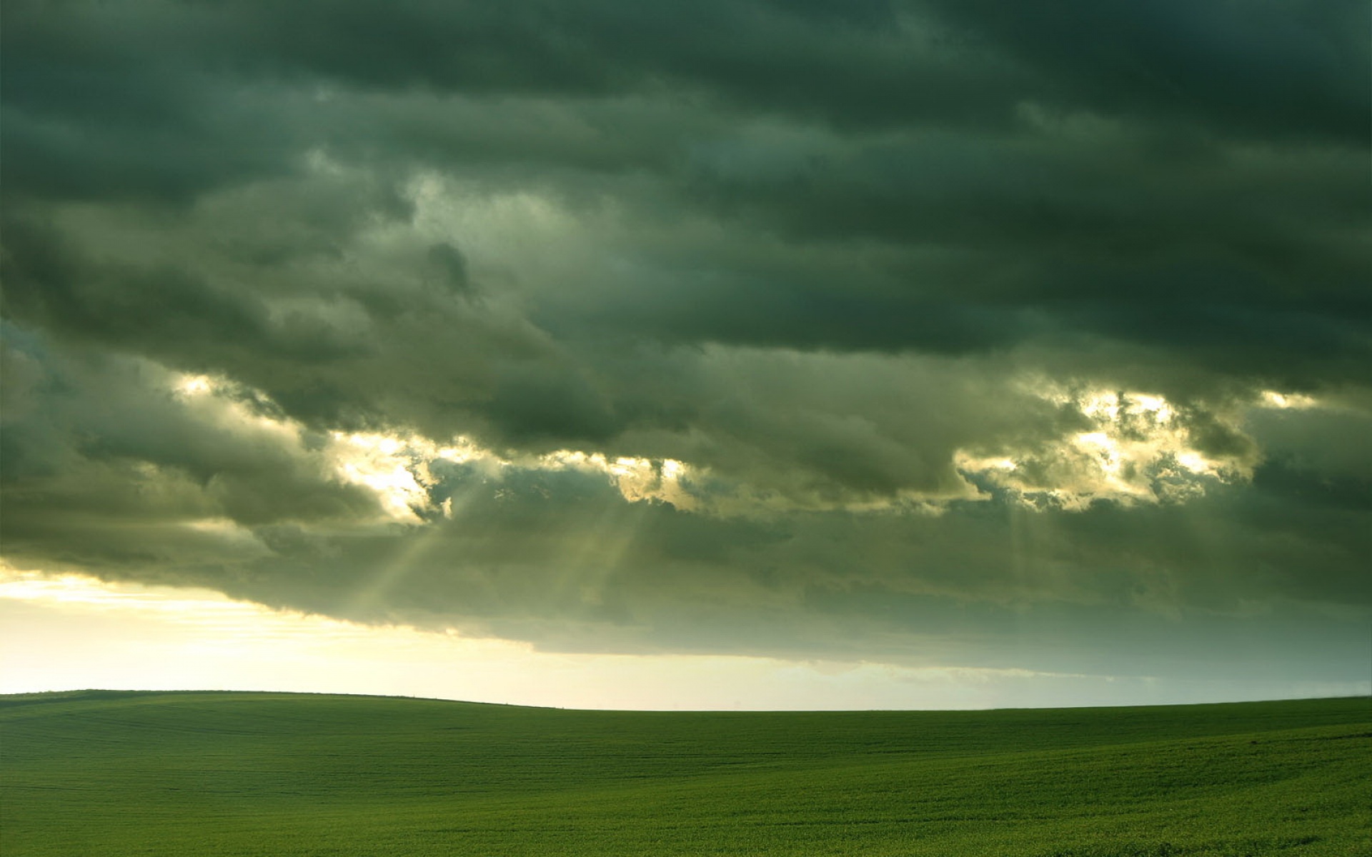 小清新,护眼壁纸,草原,儿童桌面专用