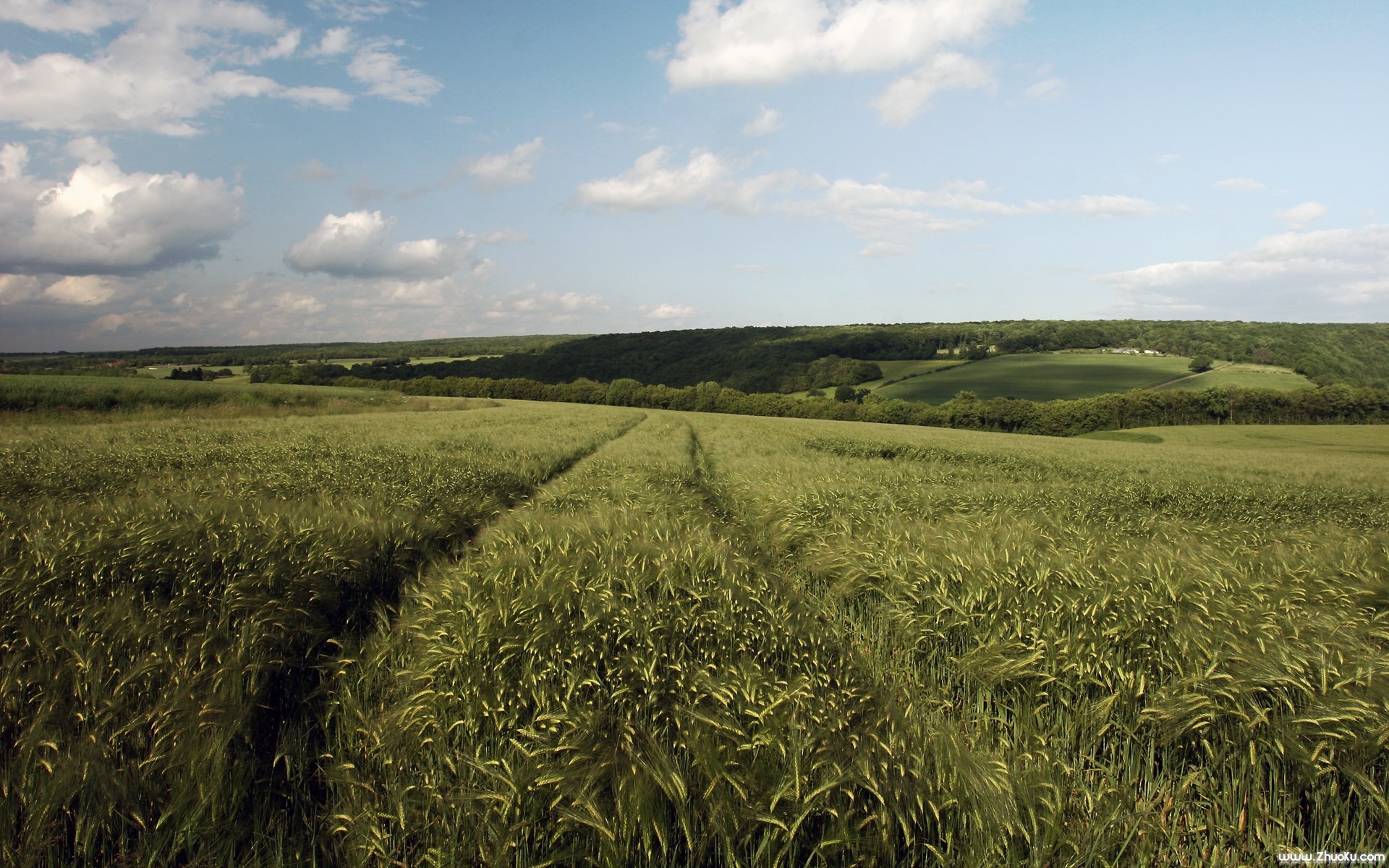 风景,自然风光,2012Y十一月05D,儿童桌面专用
