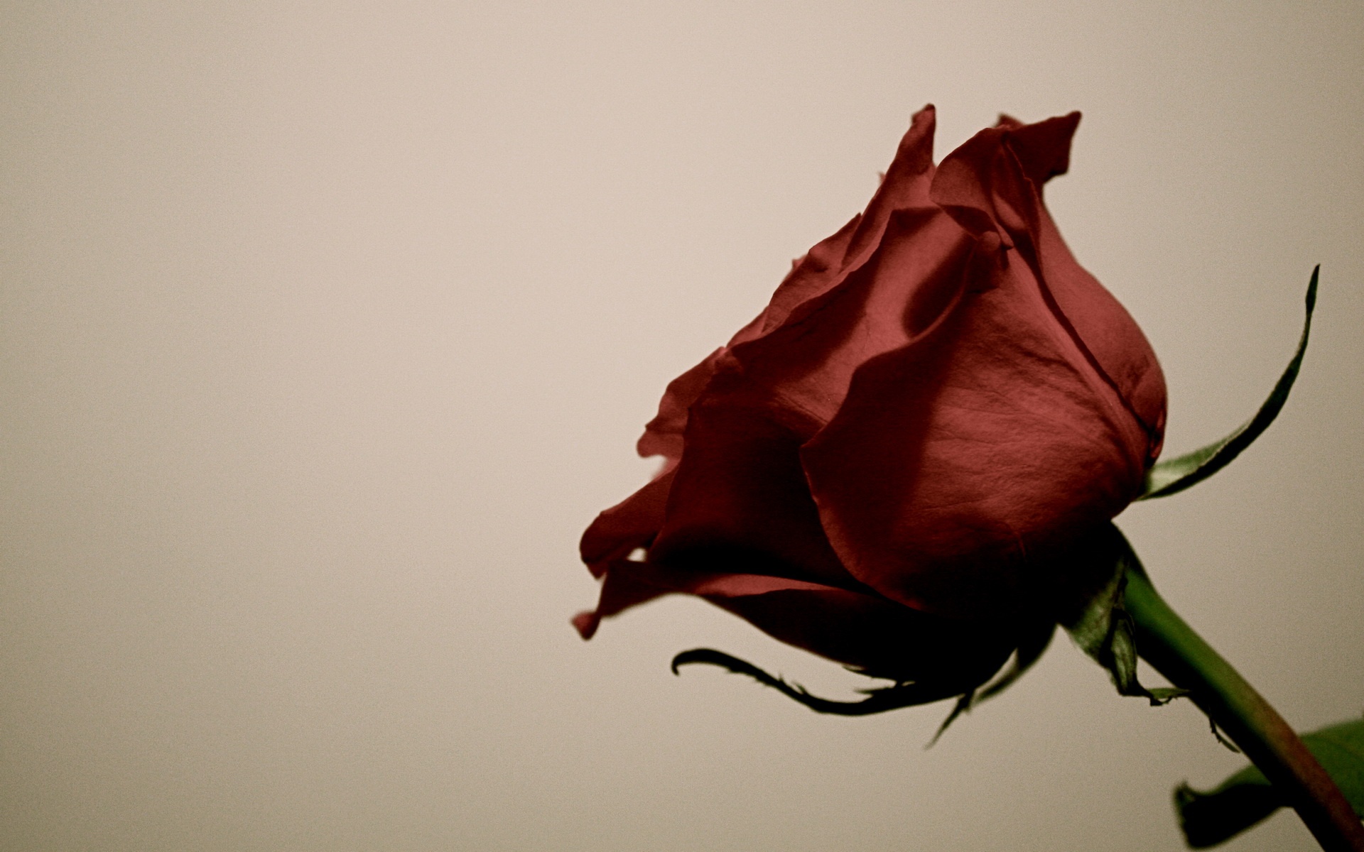 抽象,趣味,风格,设计,2012Y十一月04D,儿童桌面专用