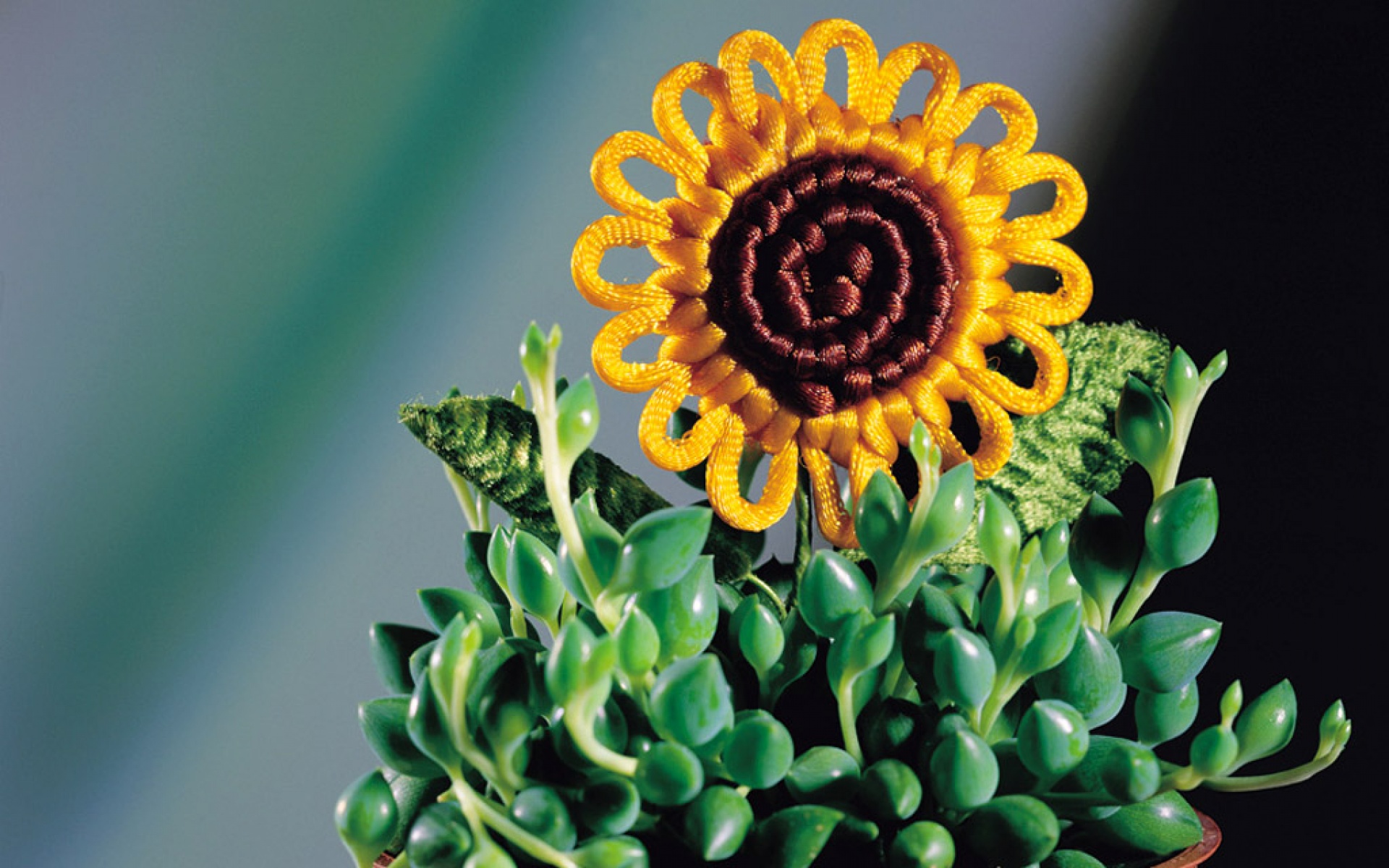 设计,炫彩,儿童桌面专用