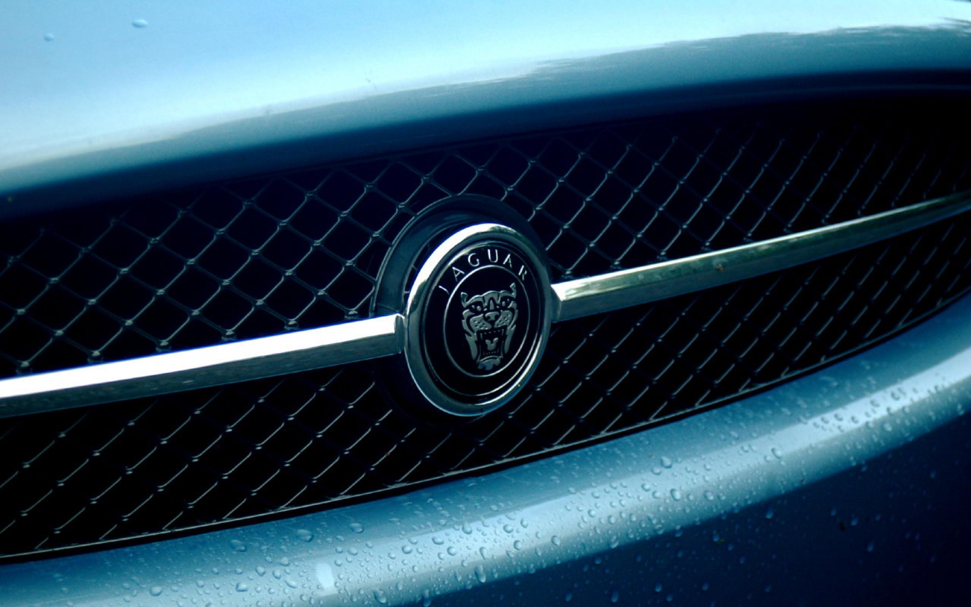 捷豹,XK,Convertible,汽车,2012Y十一月12D,儿童桌面专用