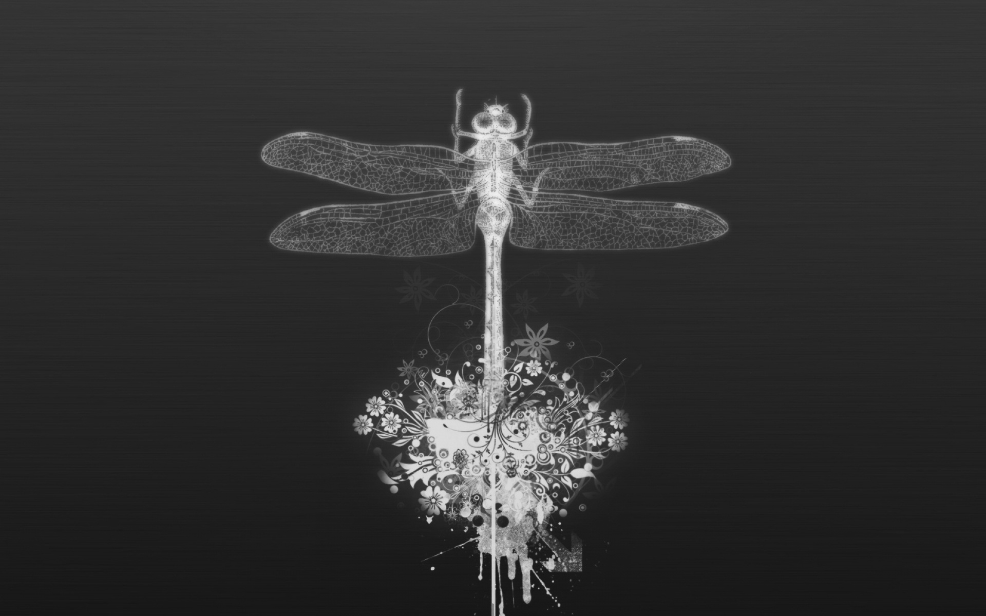 设计,简约,黑色,儿童桌面专用