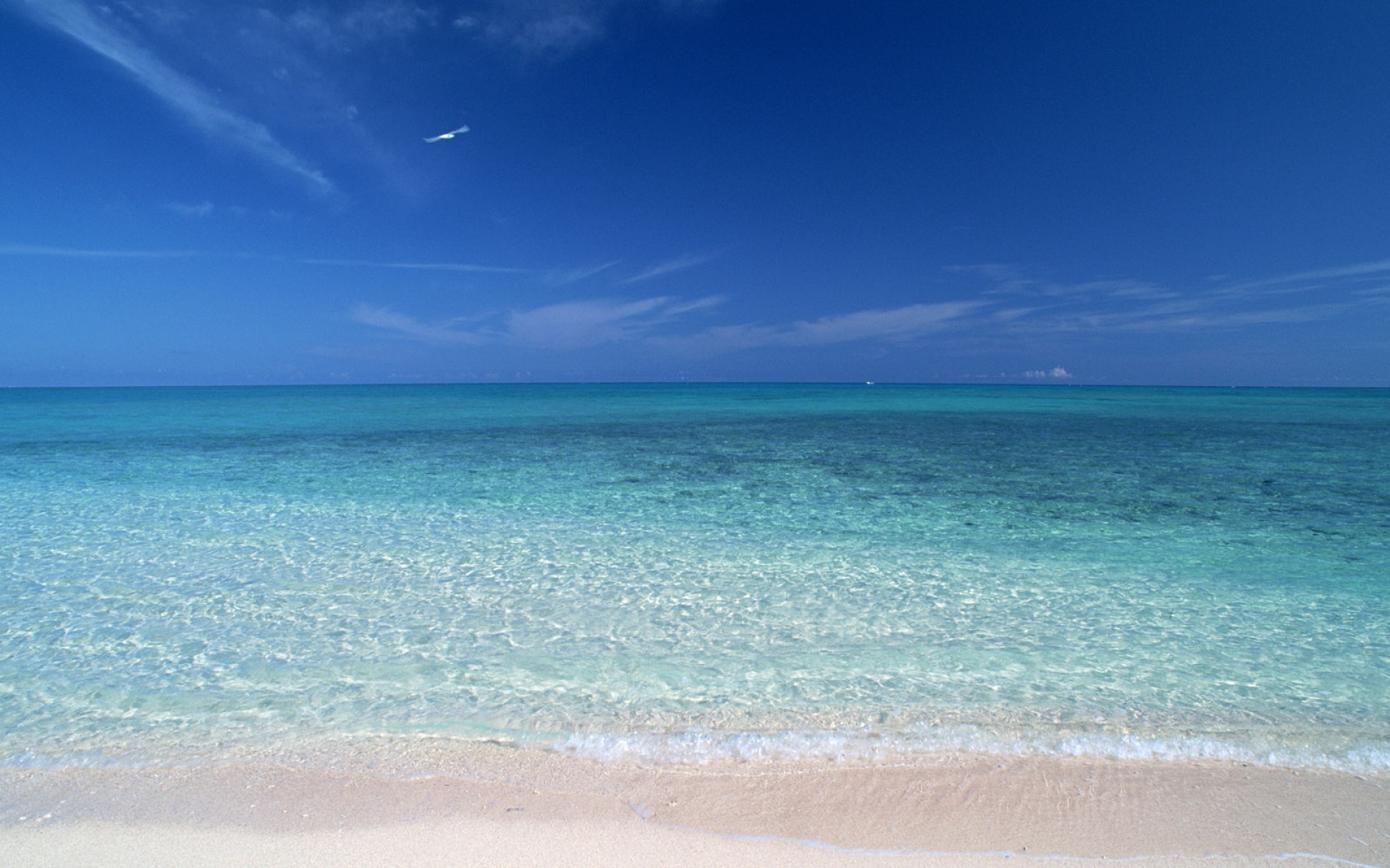 风景,海洋天堂,2012Y十一月10D,儿童桌面专用