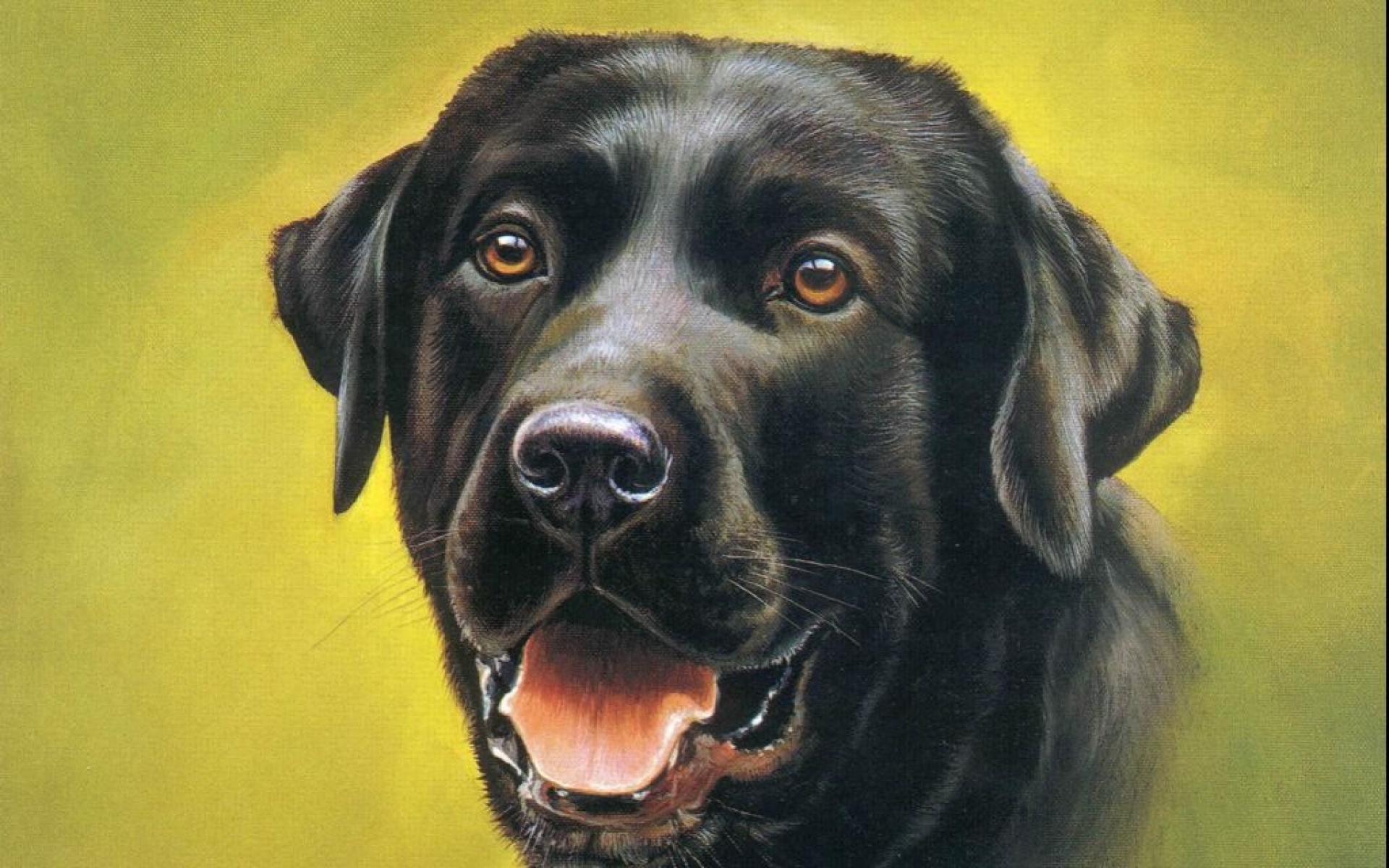 动物,绘画,风格,2012Y十一月08D,儿童桌面专用