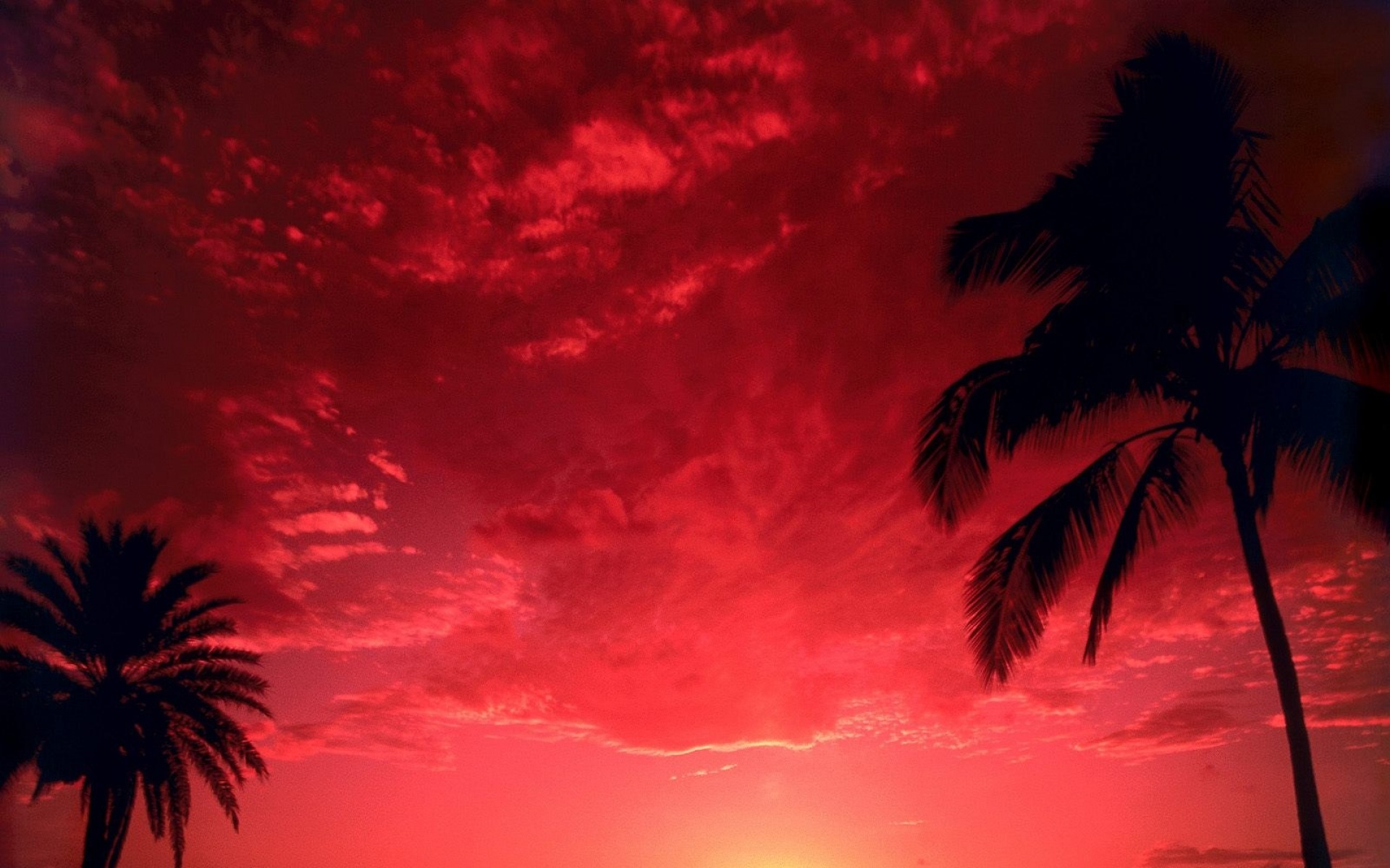 风景,落日余晖,2012Y十一月04D,儿童桌面专用