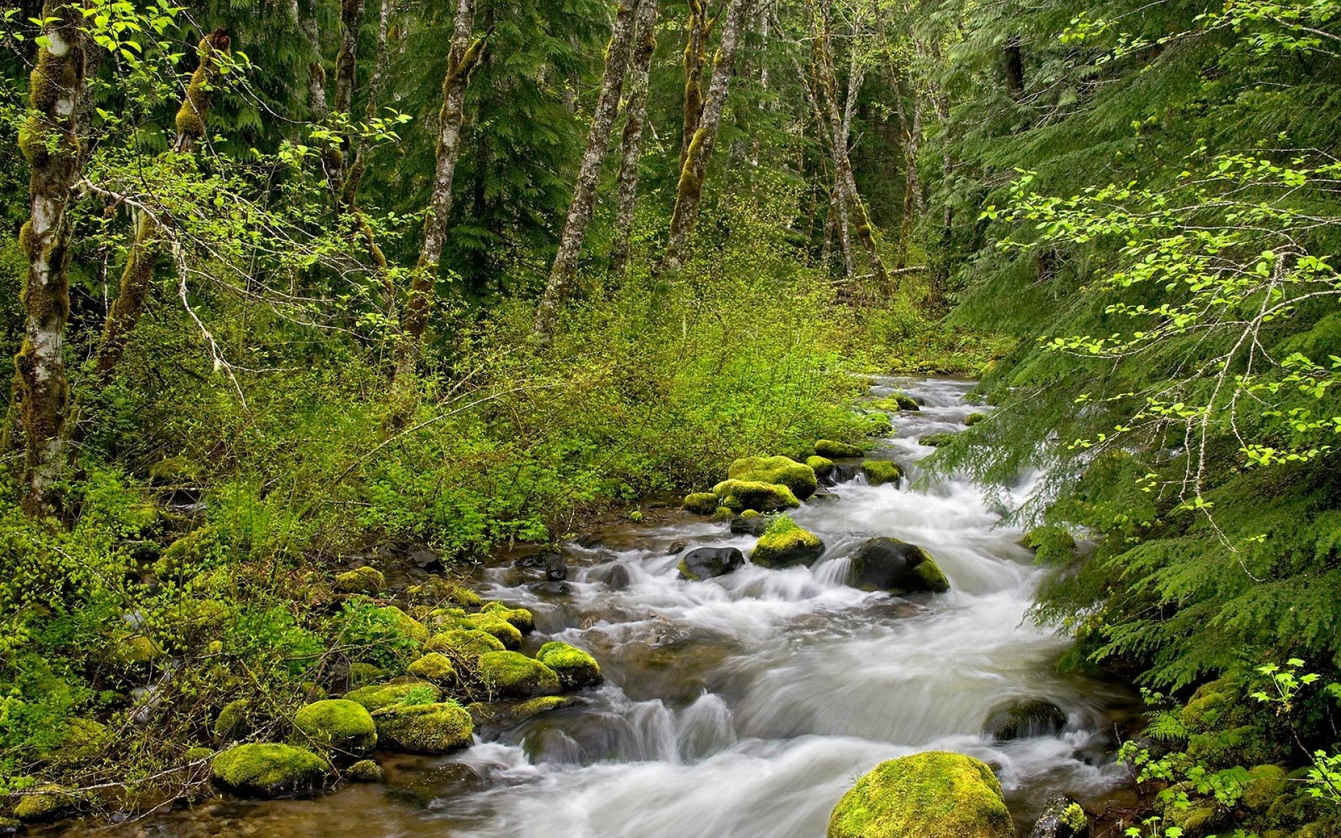 风景,自然风光,2012Y十一月11D,儿童桌面专用