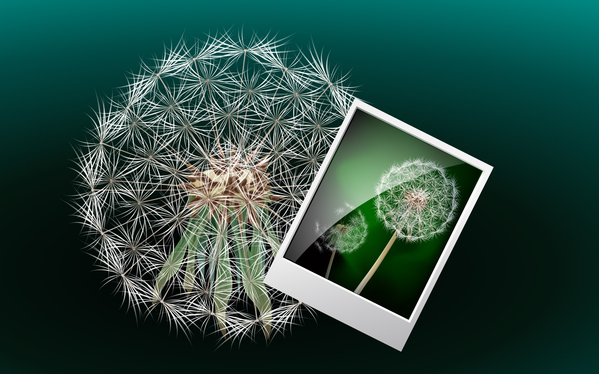 矢量,立体,设计,宽屏,2012Y十一月04D,儿童桌面专用