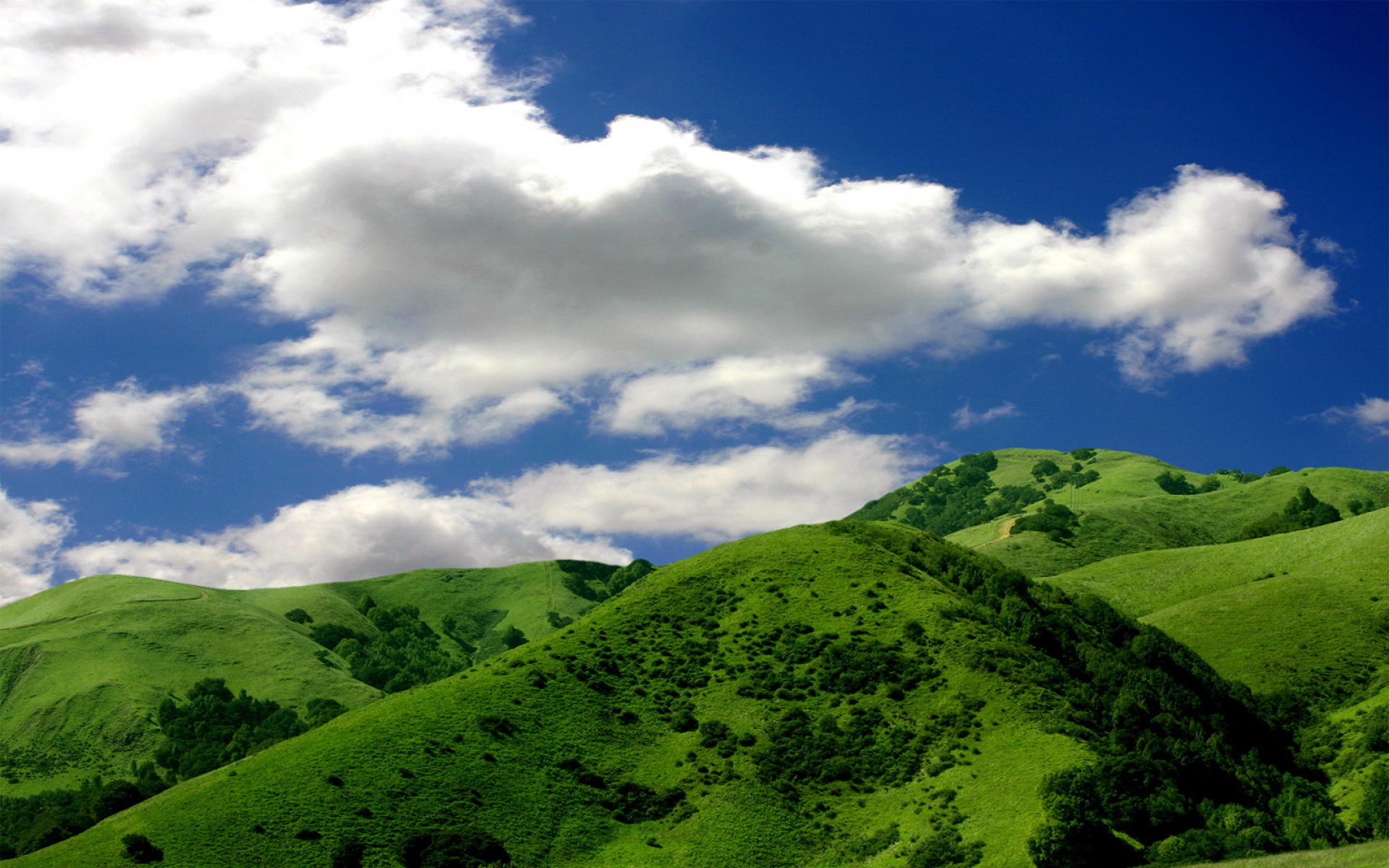 小清新,护眼壁纸,绿色,儿童桌面专用