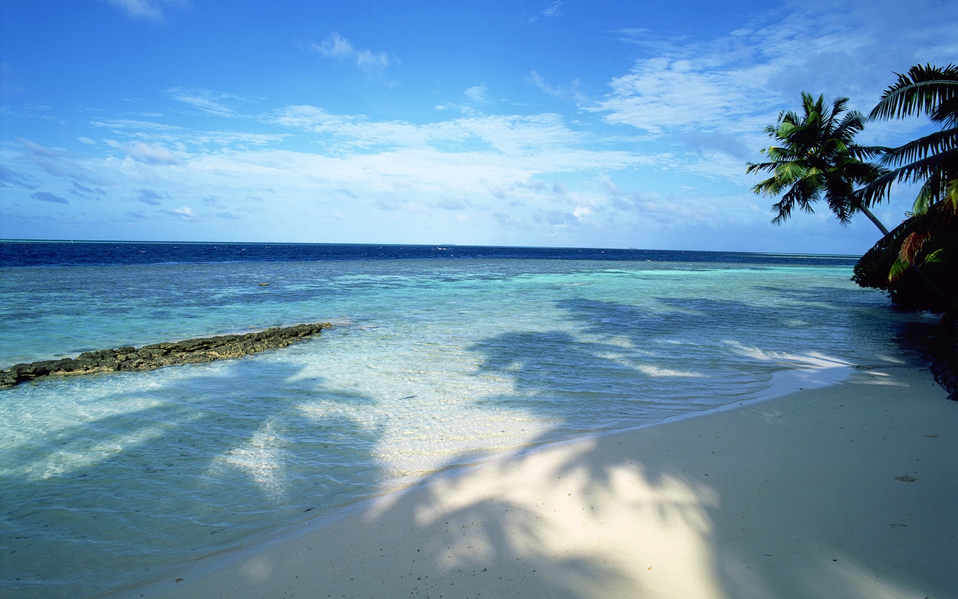 风景,海洋天堂,2012Y十一月11D,儿童桌面专用