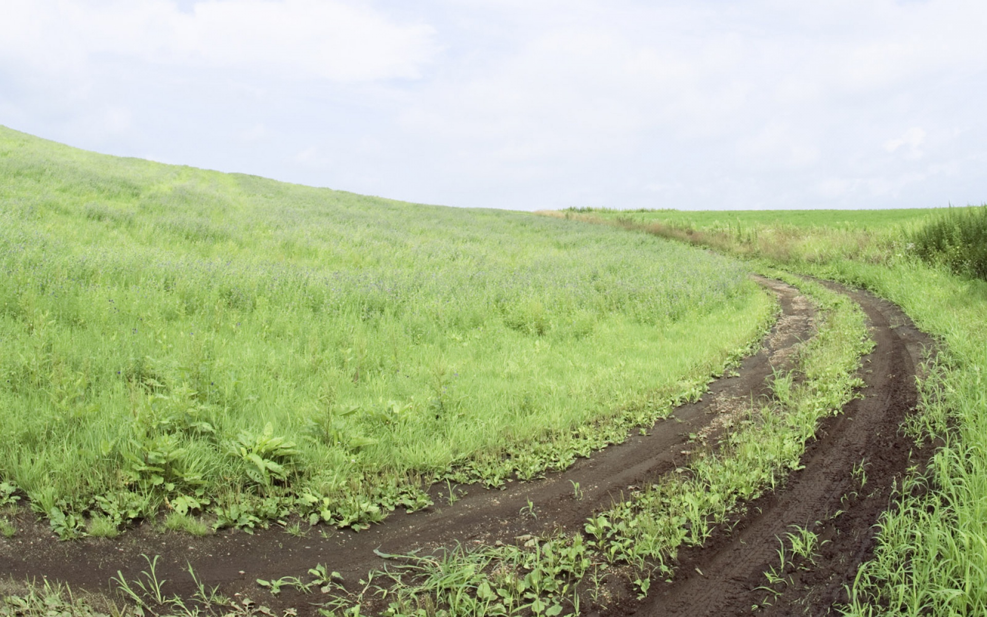 风景,自然风光,2012Y十一月10D,儿童桌面专用