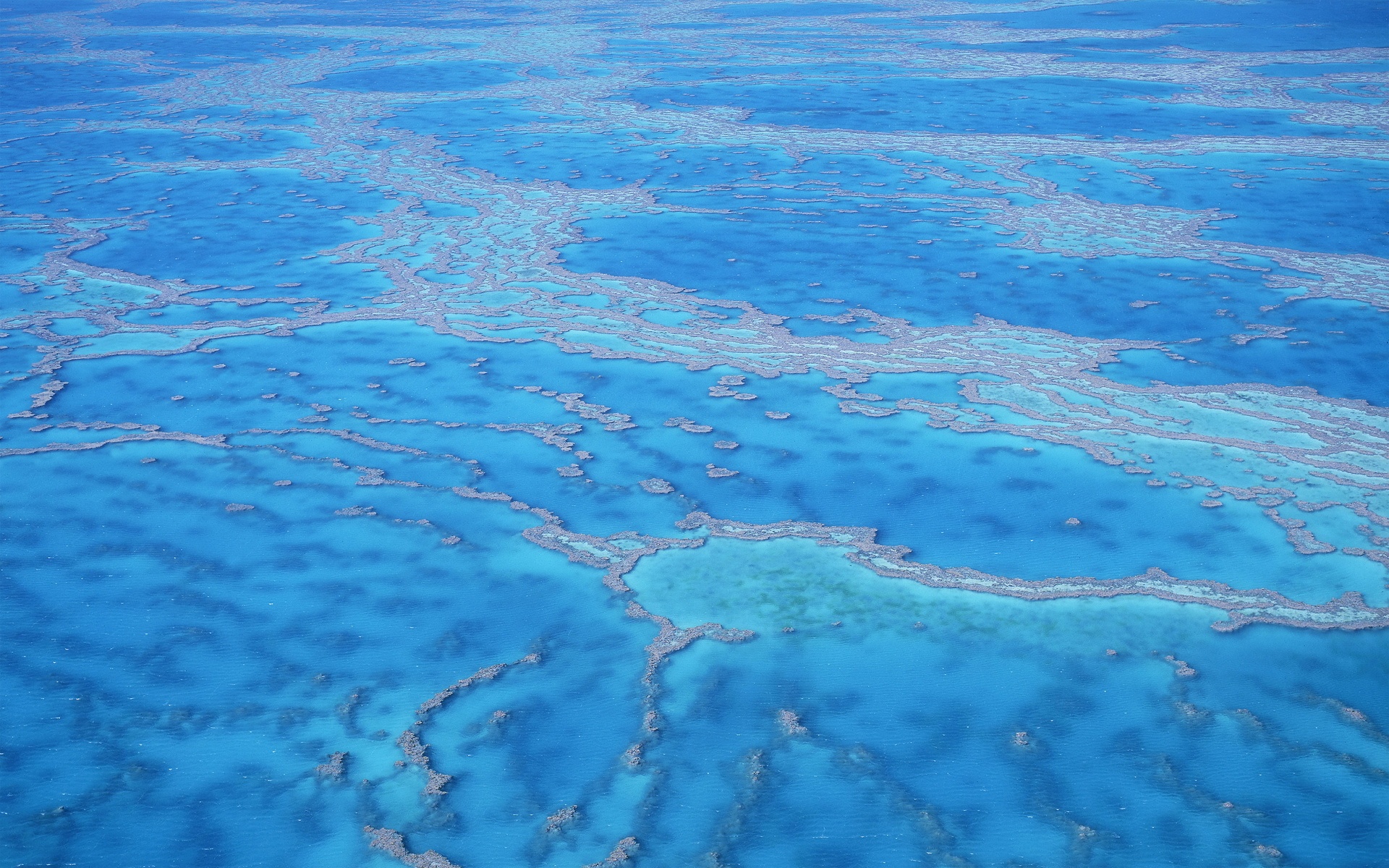 苹果,OS,4宽屏,MAC,2012Y十一月03D,创意,儿童桌面专用