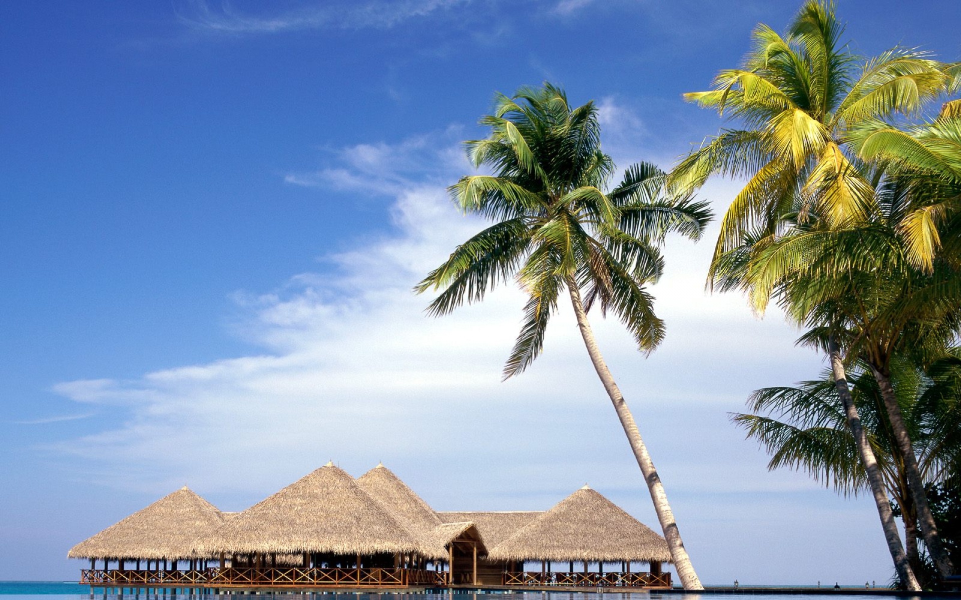 风景,海洋天堂,2012Y十一月04D,儿童桌面专用