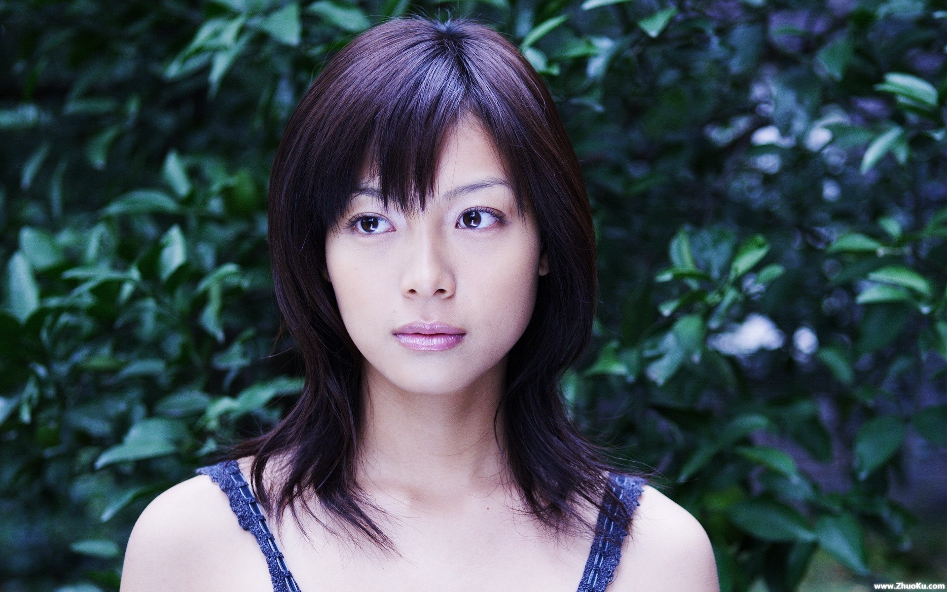 相武纱季,Saki,Aibu,明星,美女,2012Y十一月04D