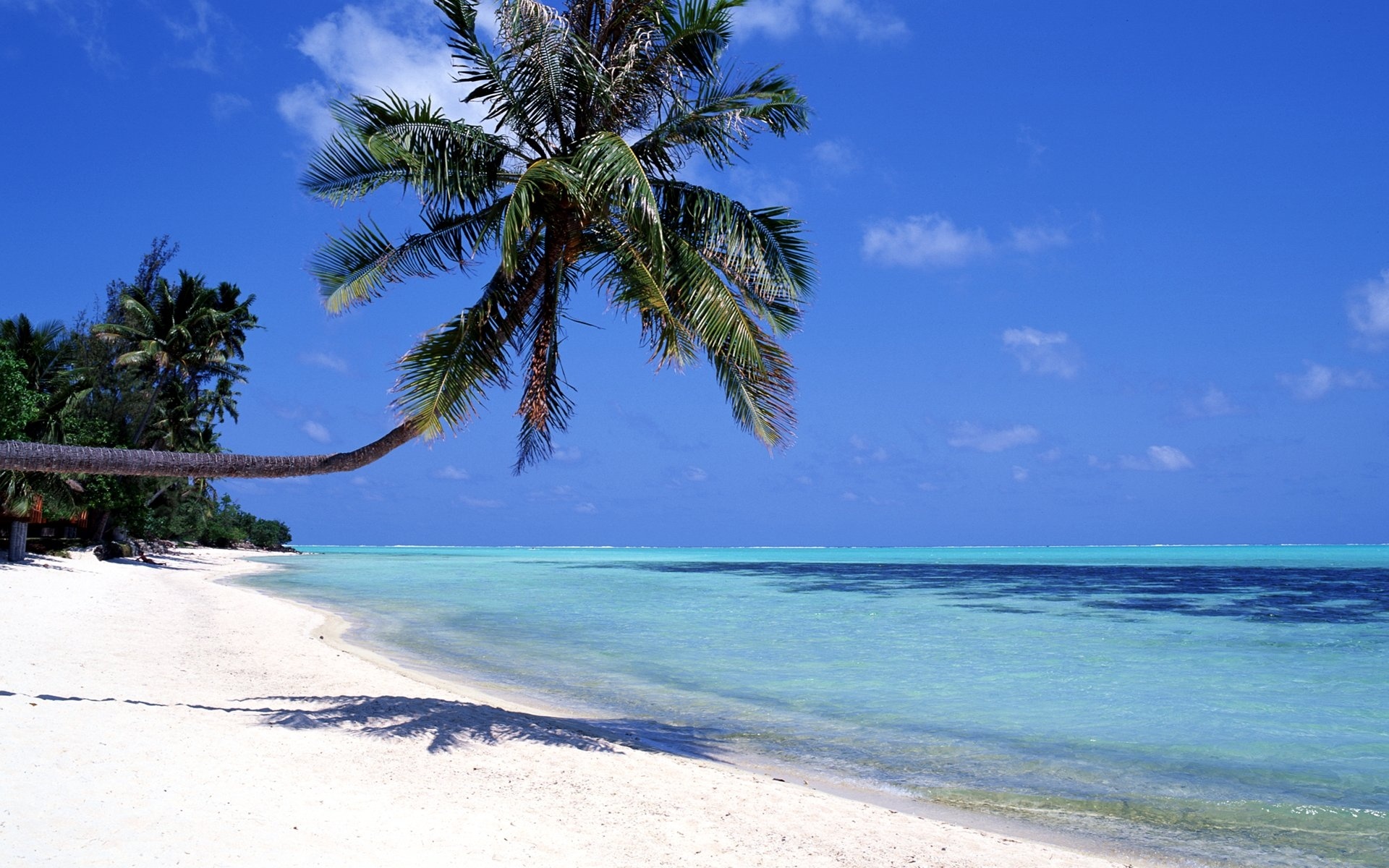 风景,海洋天堂,2012Y十月30D,儿童桌面专用