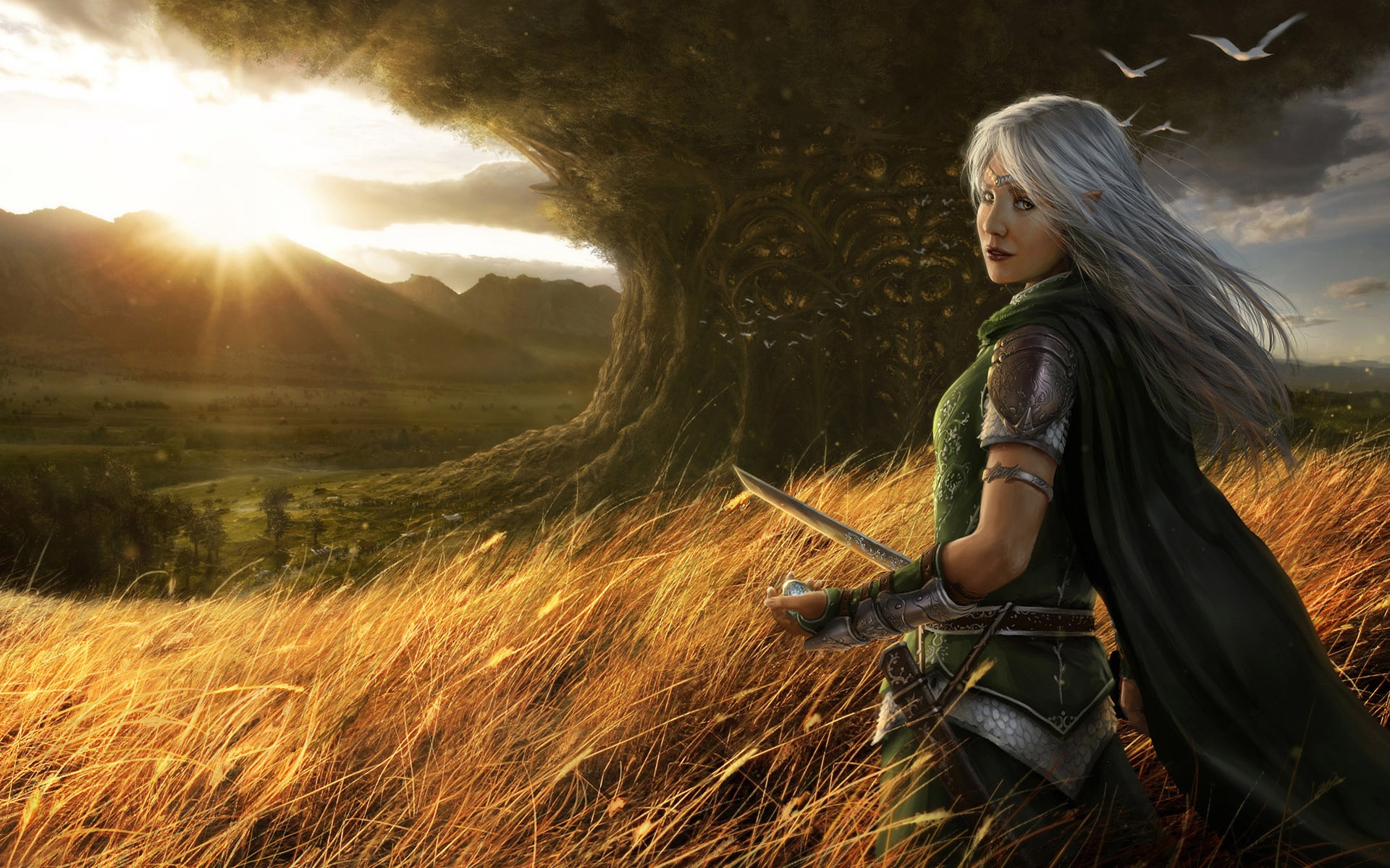 游戏,MM,美女,风格,宽屏,艺术,2012Y十一月04D