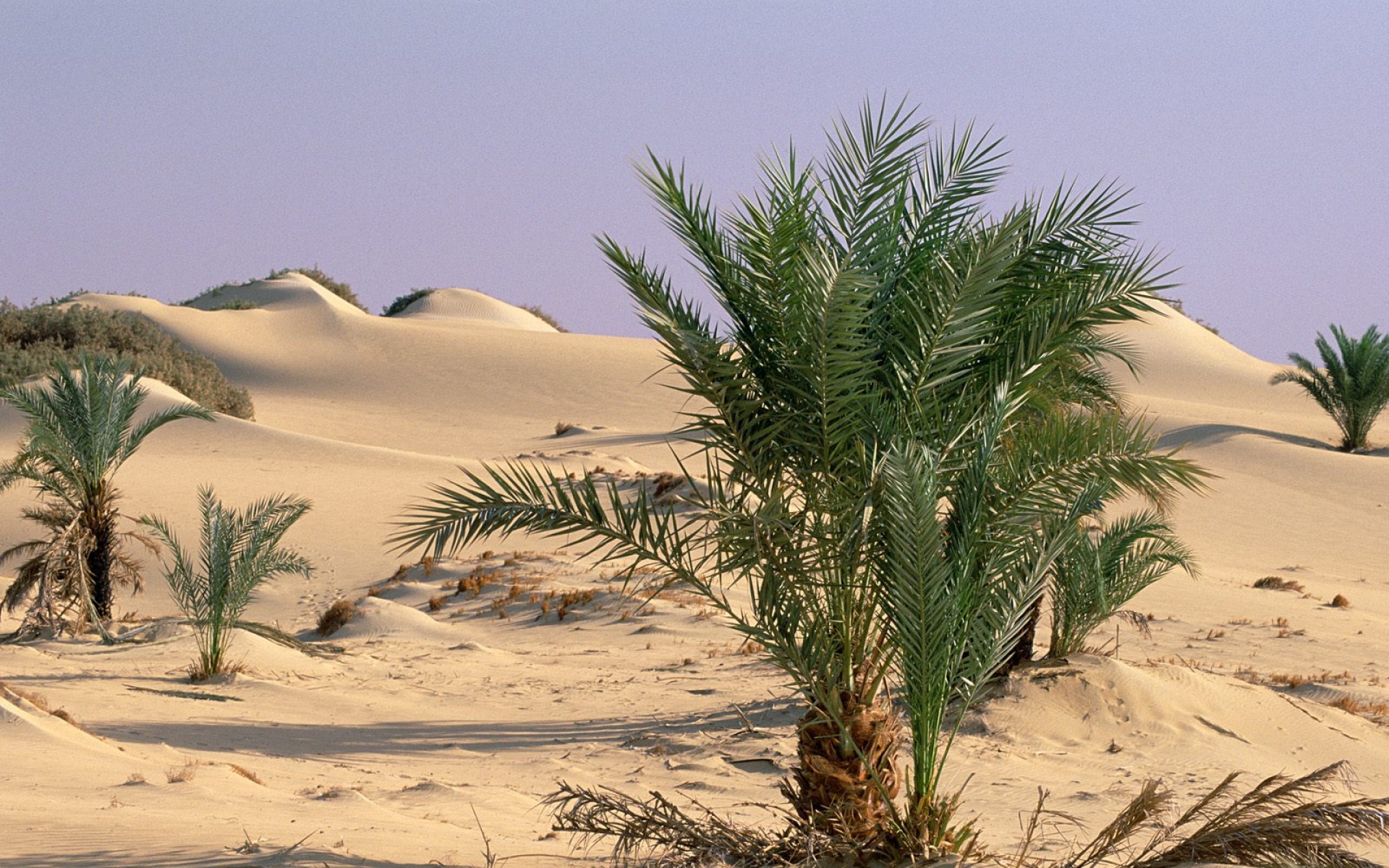 风景,自然风光,2012Y十一月11D,儿童桌面专用