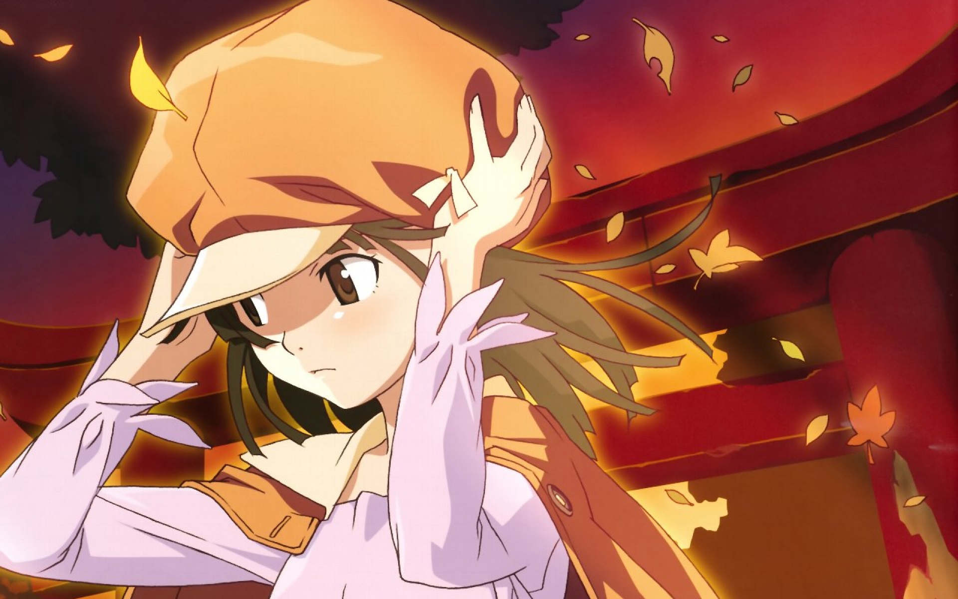 化物语,动漫,2012Y十一月03D,儿童桌面专用